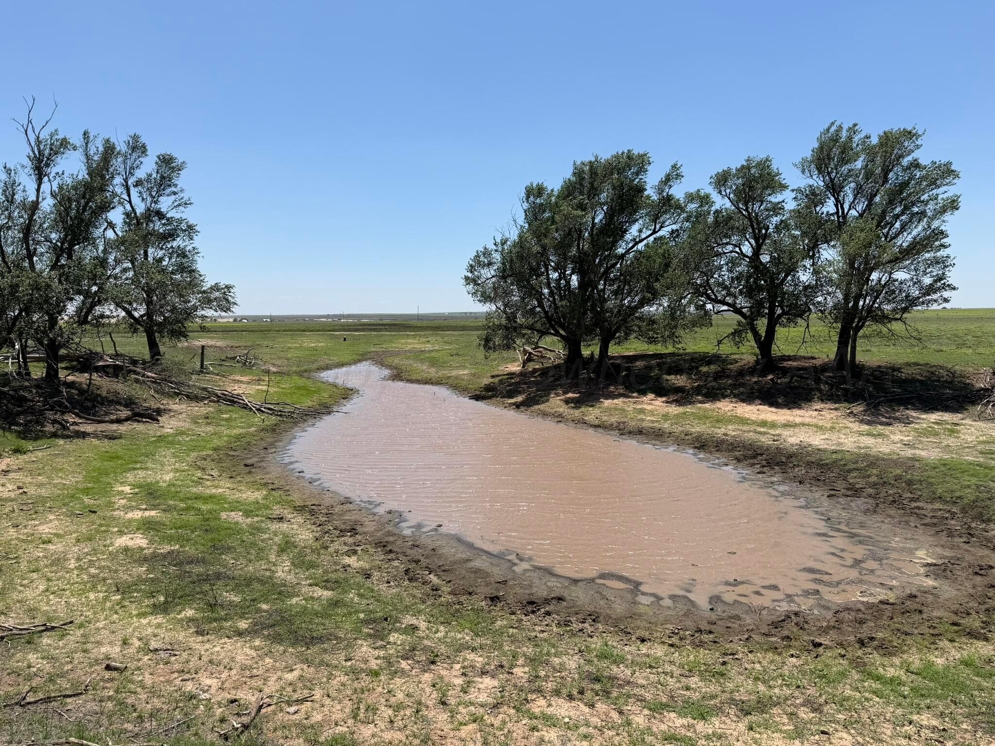 TBD County Road 3, Mobeetie, TX 79061, photo 26