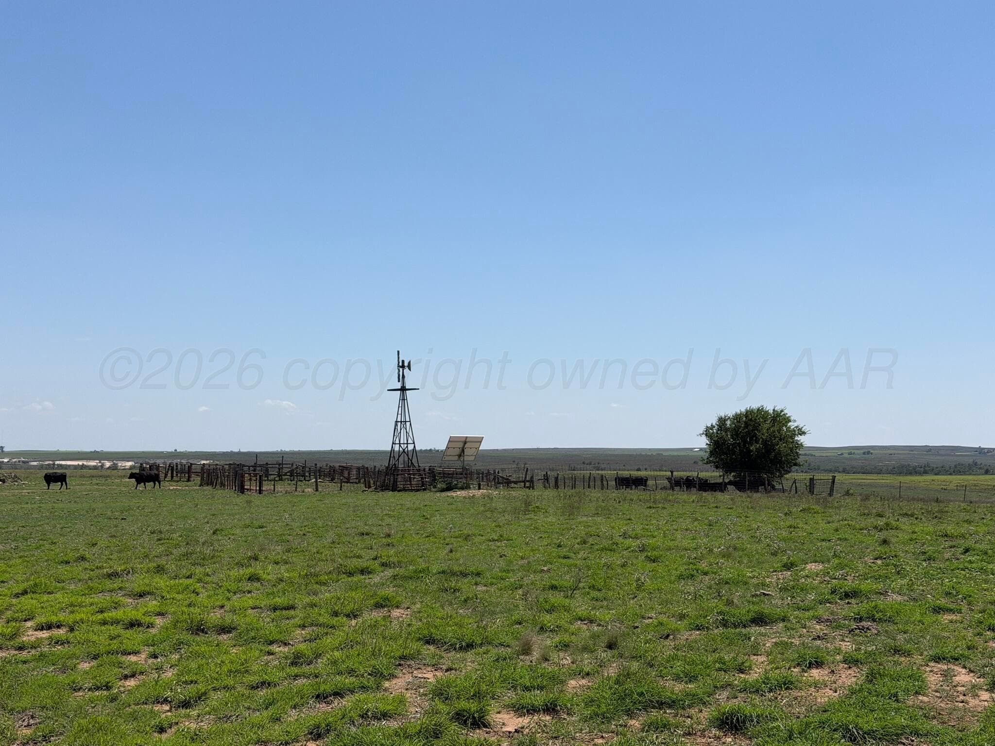 TBD County Road 3, Mobeetie, TX 79061, photo 39