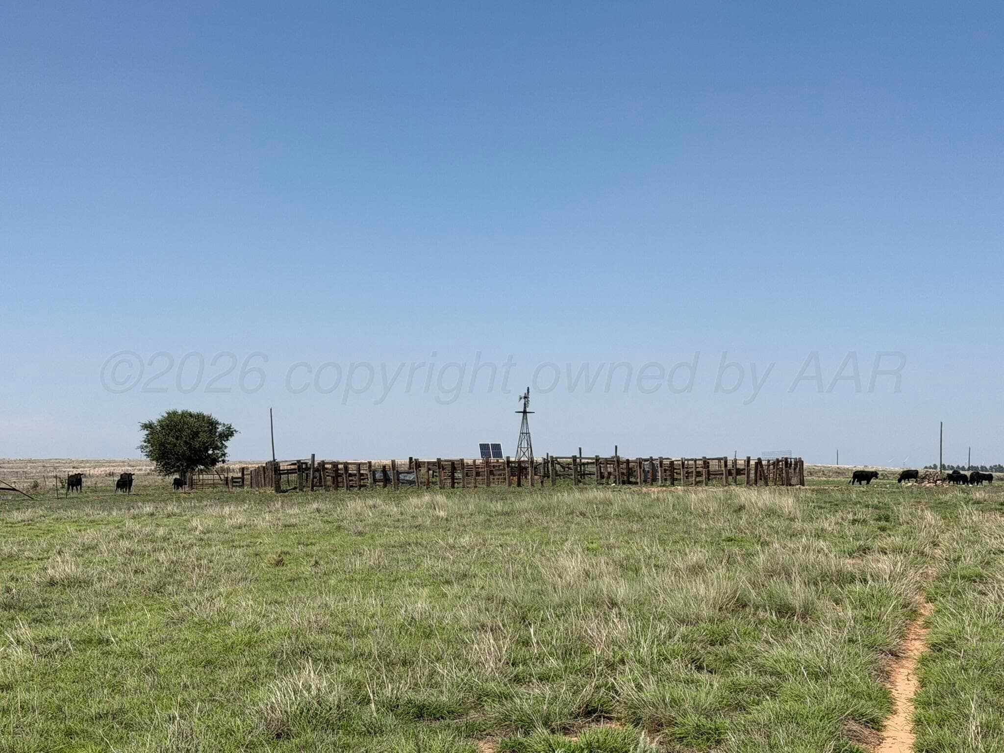 TBD County Road 3, Mobeetie, TX 79061, photo 46