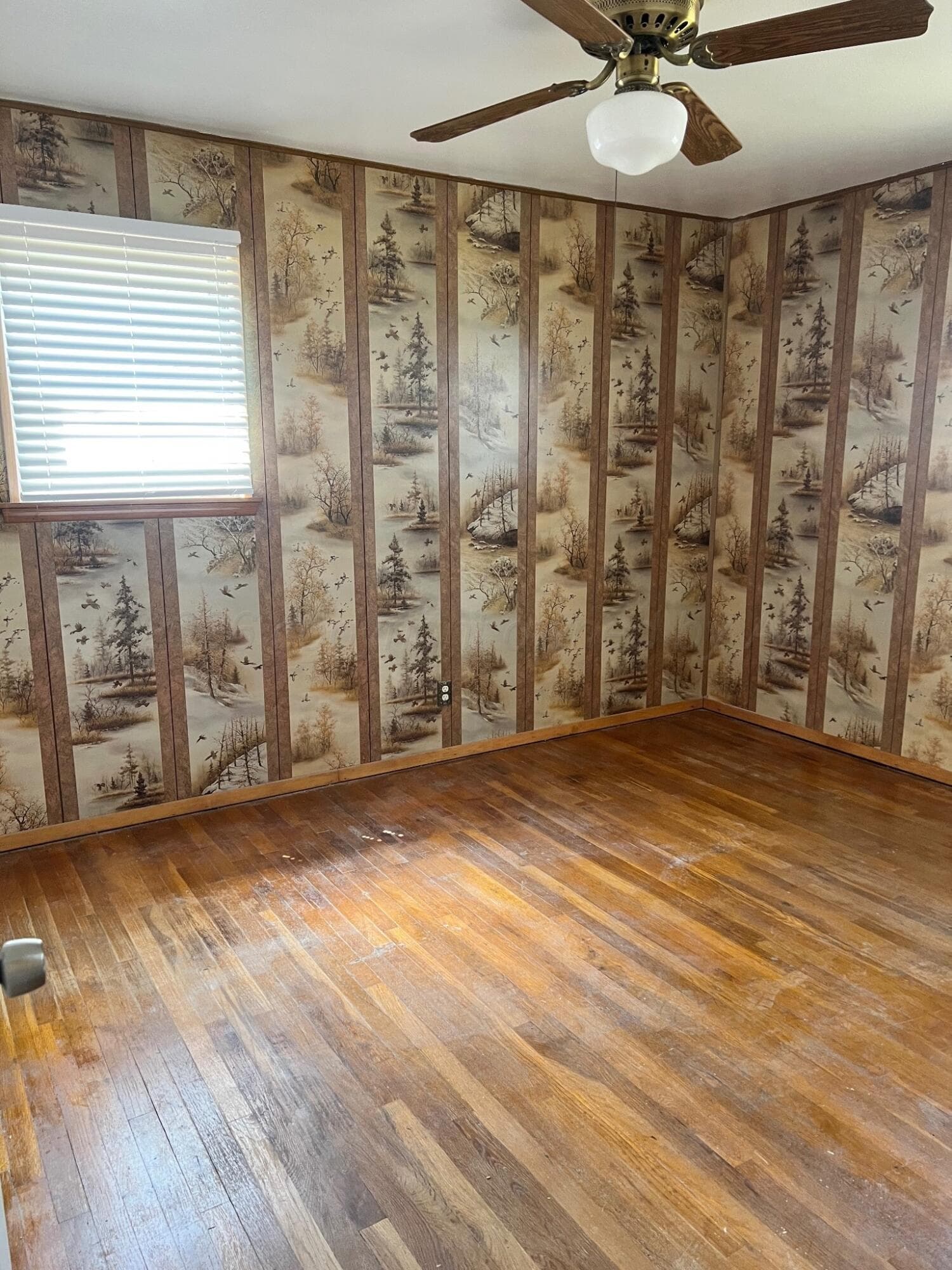 203 W 12th Avenue, Spearman, TX 79081, photo 10