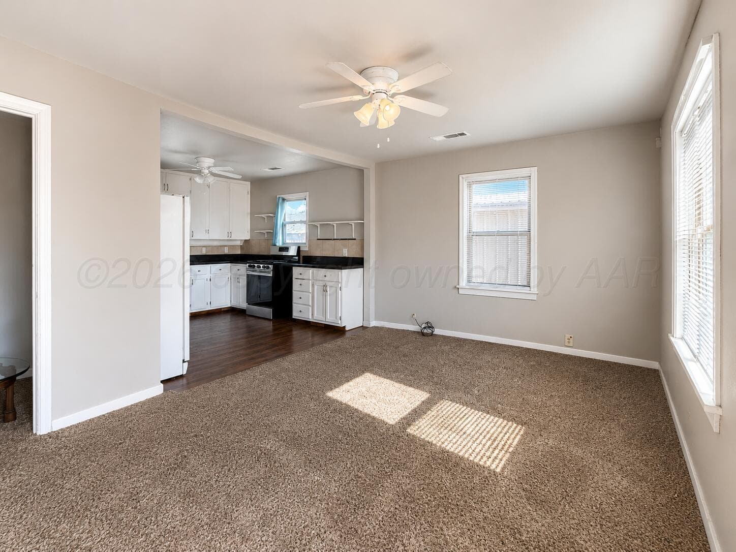703 S BIRMINGHAM Street, Amarillo, TX 79104-1625, photo 3