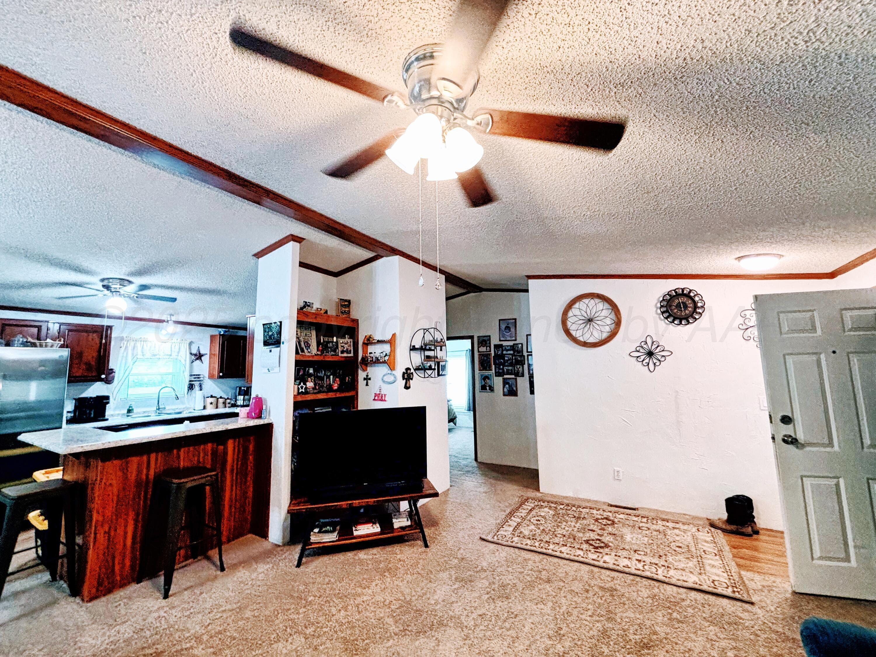 1010 S Baylor Street, Perryton, TX 79070, photo 5