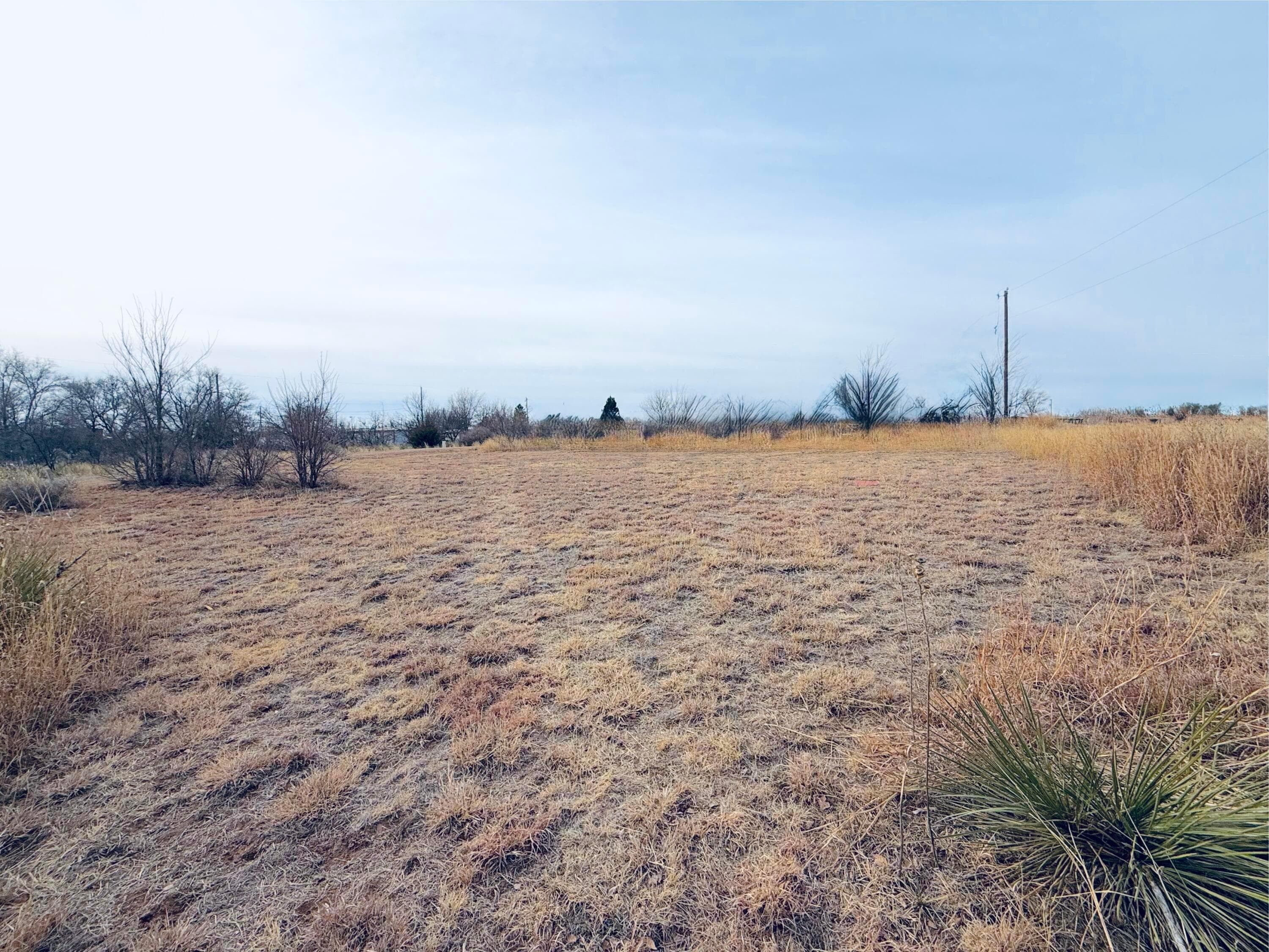 259 Cross Street, Fritch, TX 79036, photo 11