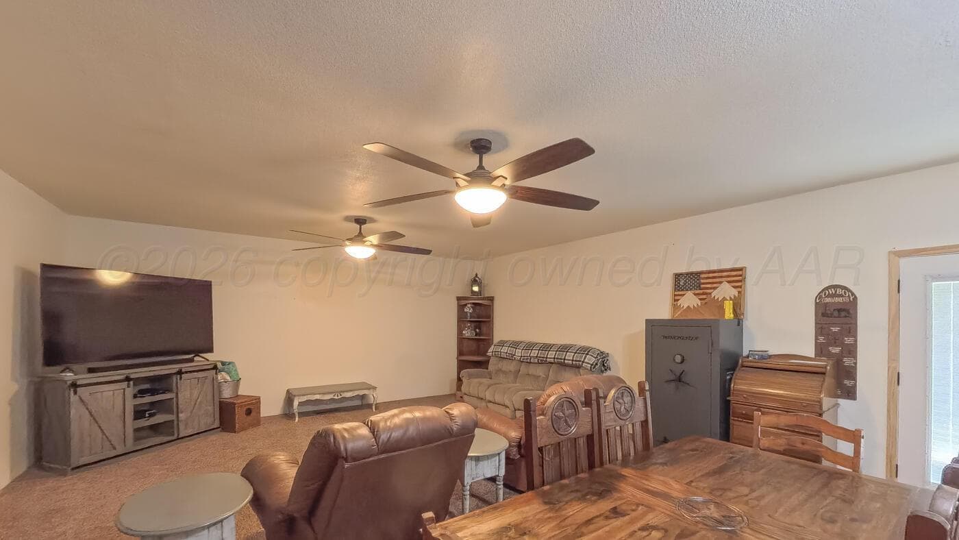 503 MESQUITE Drive, Fritch, TX 79036-5014, photo 7