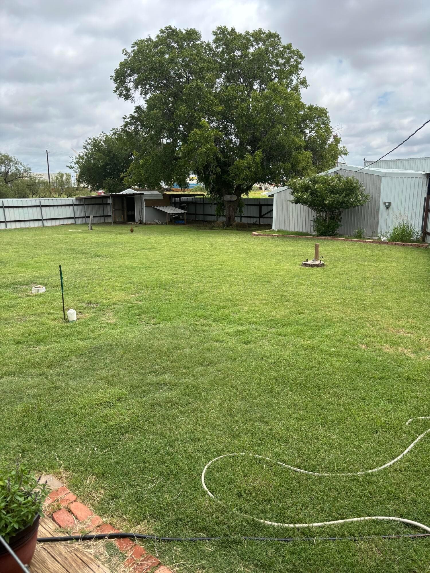 201 County Road Kb, Childress, TX 79201, photo 7