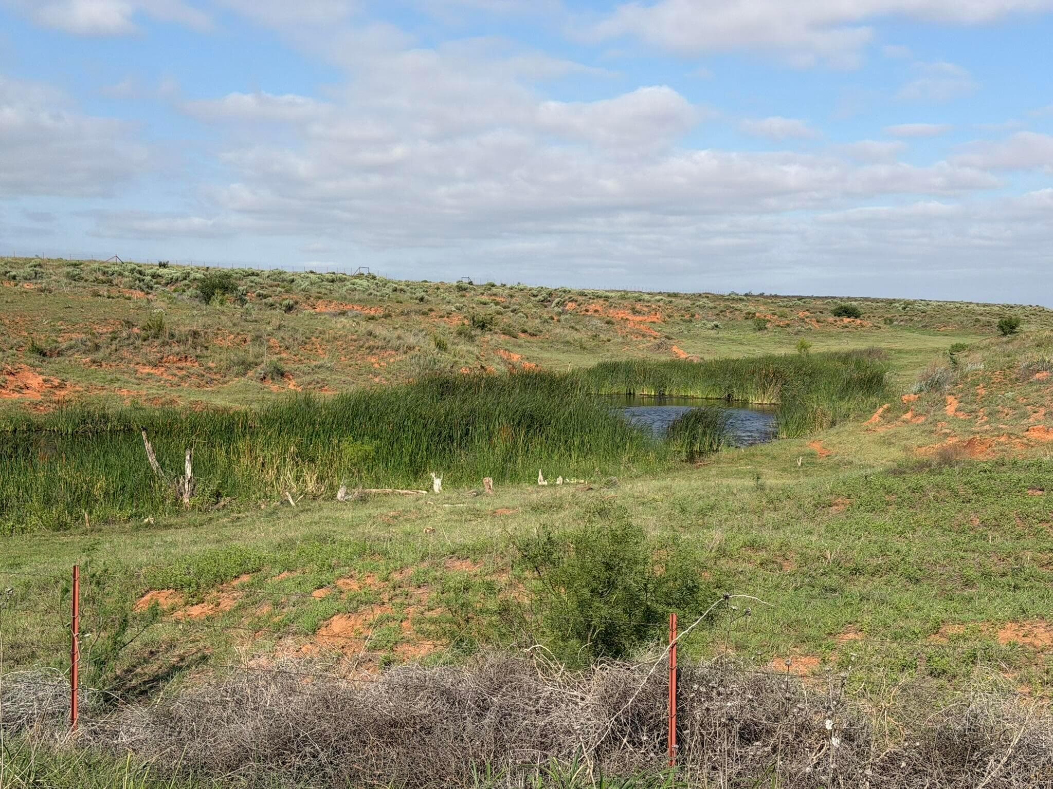 15450 Farm To Market Road 2103, Childress, TX 79201, photo 2