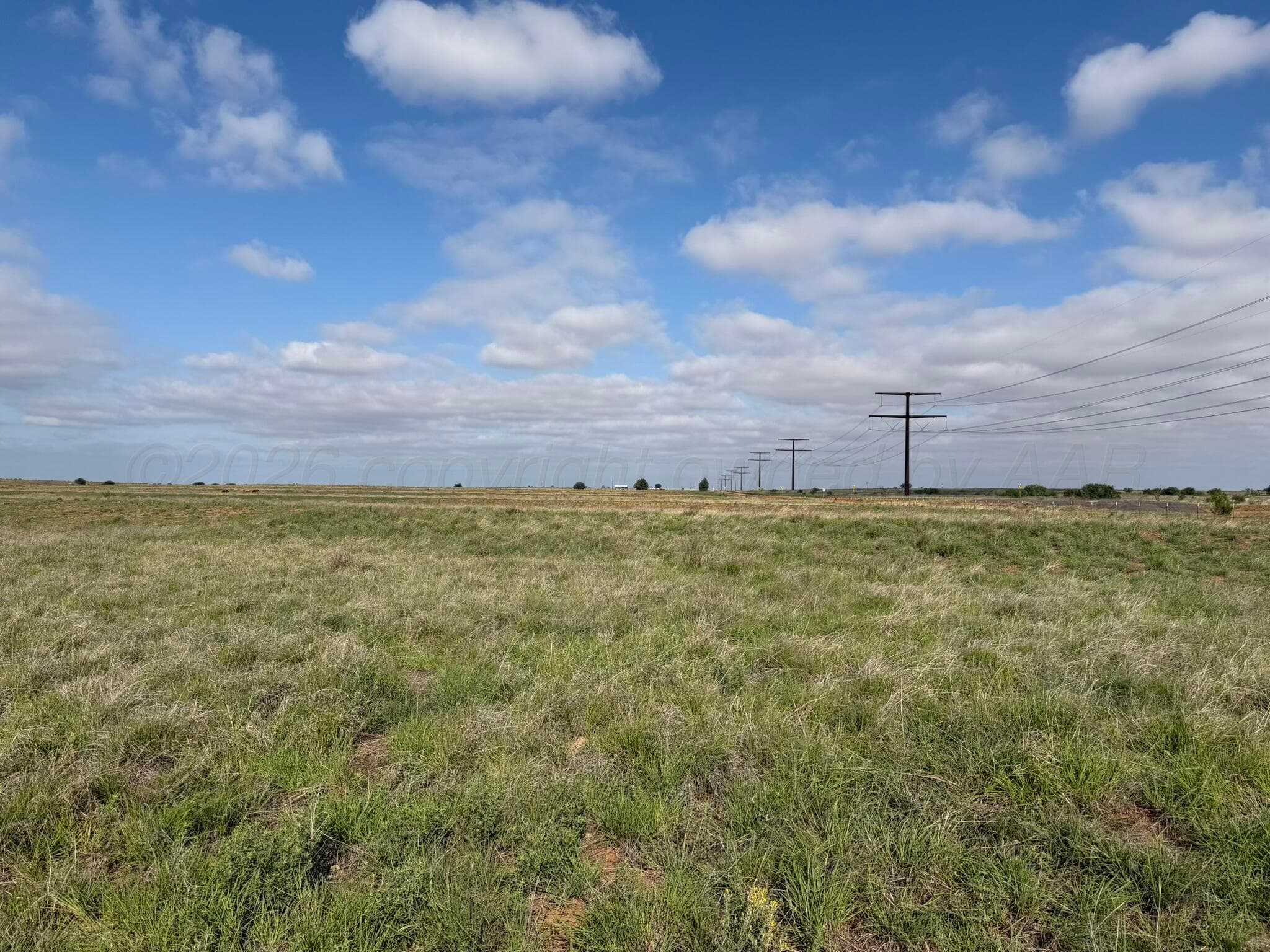 15450 Farm To Market Road 2103, Childress, TX 79201, photo 5
