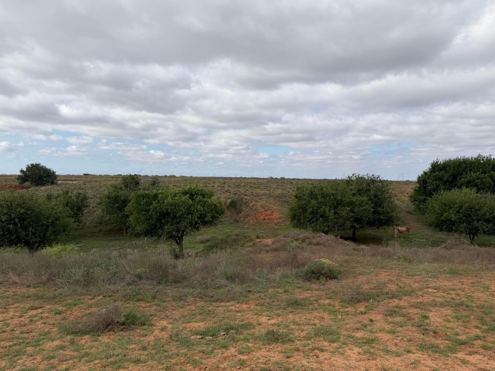 15450 Farm To Market Road 2103, Childress, TX 79201, photo 29