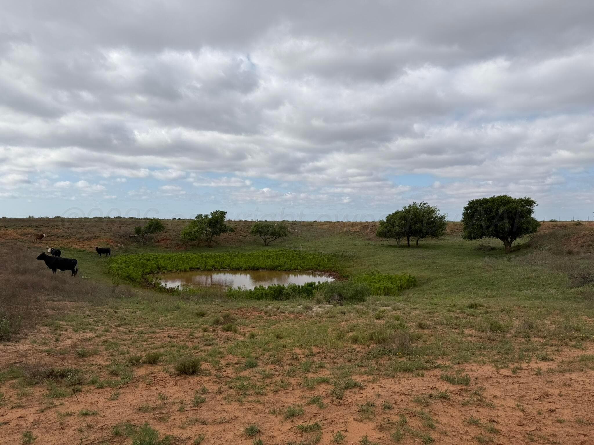 15450 Farm To Market Road 2103, Childress, TX 79201, photo 31