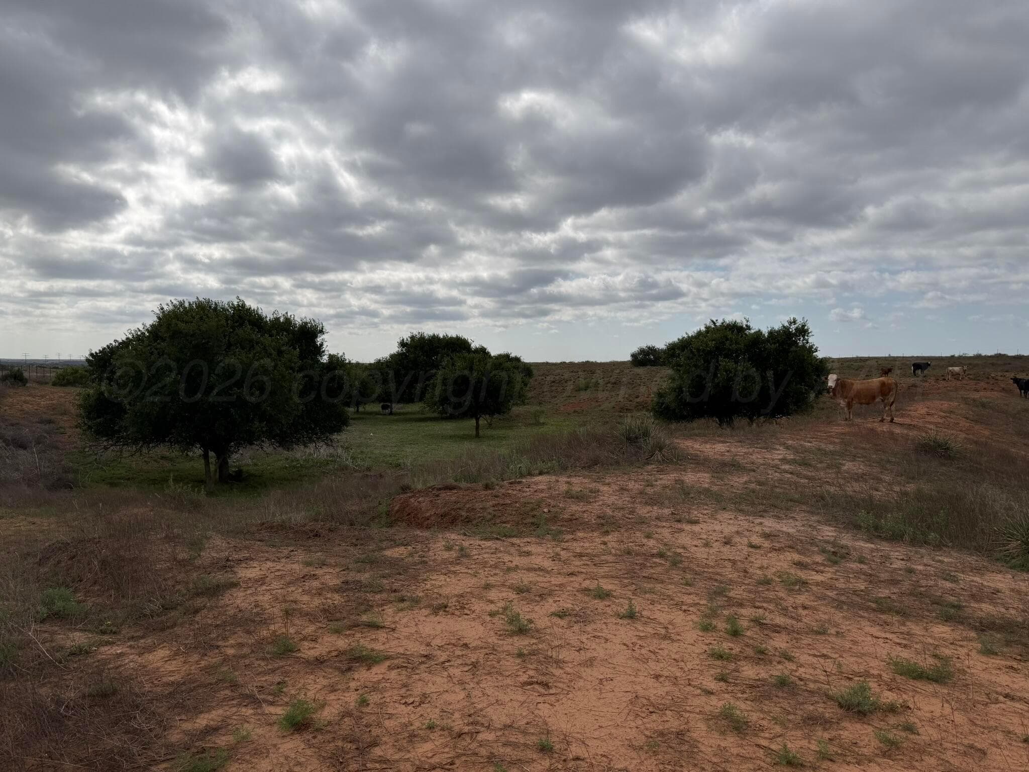 15450 Farm To Market Road 2103, Childress, TX 79201, photo 32