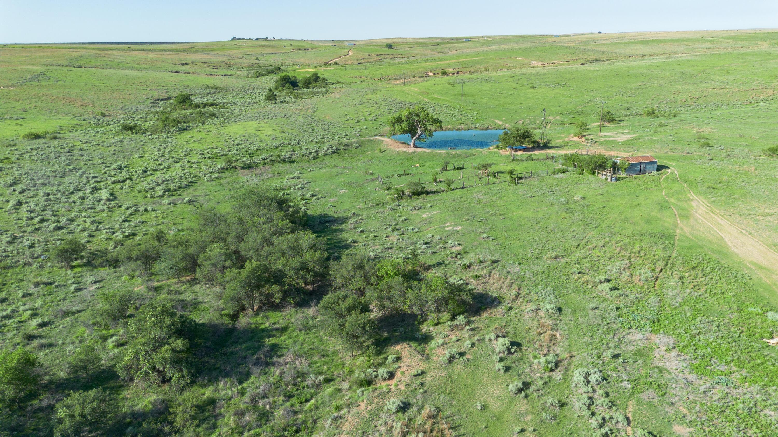 Peterson Creek ±640ac, McLean, TX 79057, photo 9