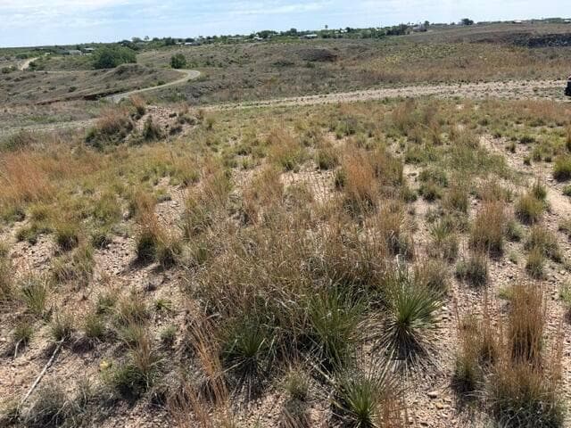 0 Camino Real, Stinnett, TX 79083, photo 3