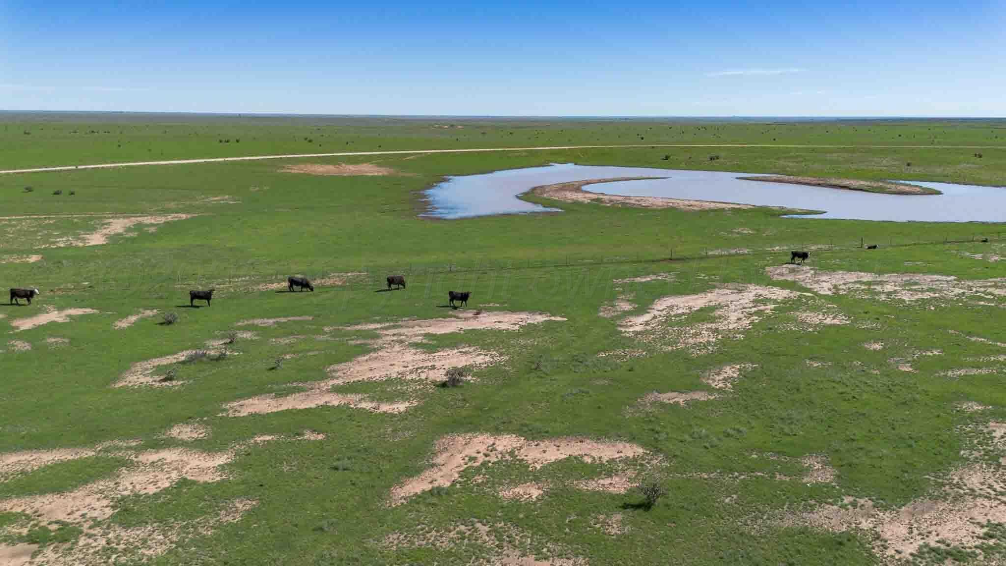 Wise Ranch 3,433.84 Acres, Other - Not in list, NM 88430, photo 2