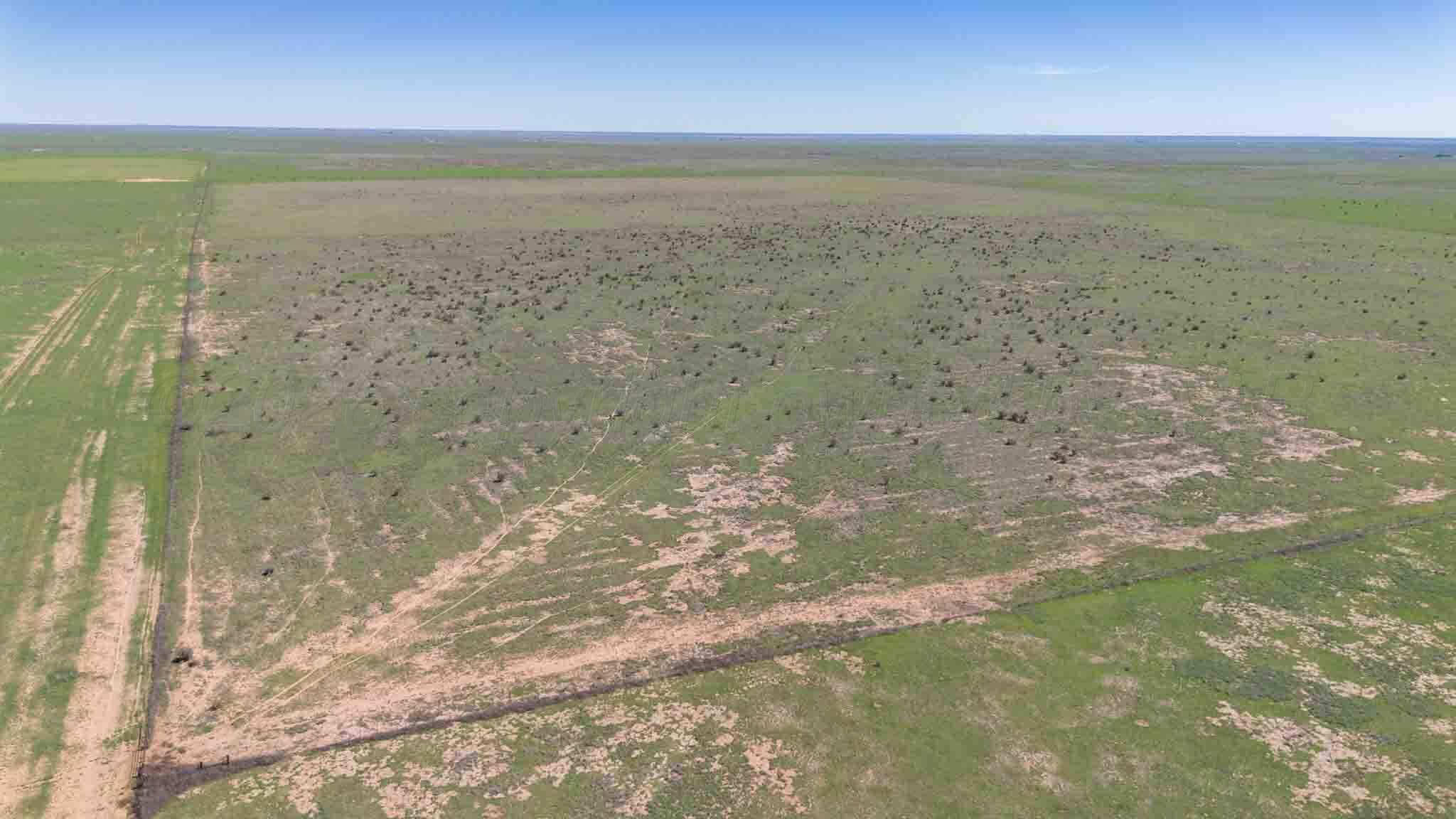 Wise Ranch 3,433.84 Acres, Other - Not in list, NM 88430, photo 42