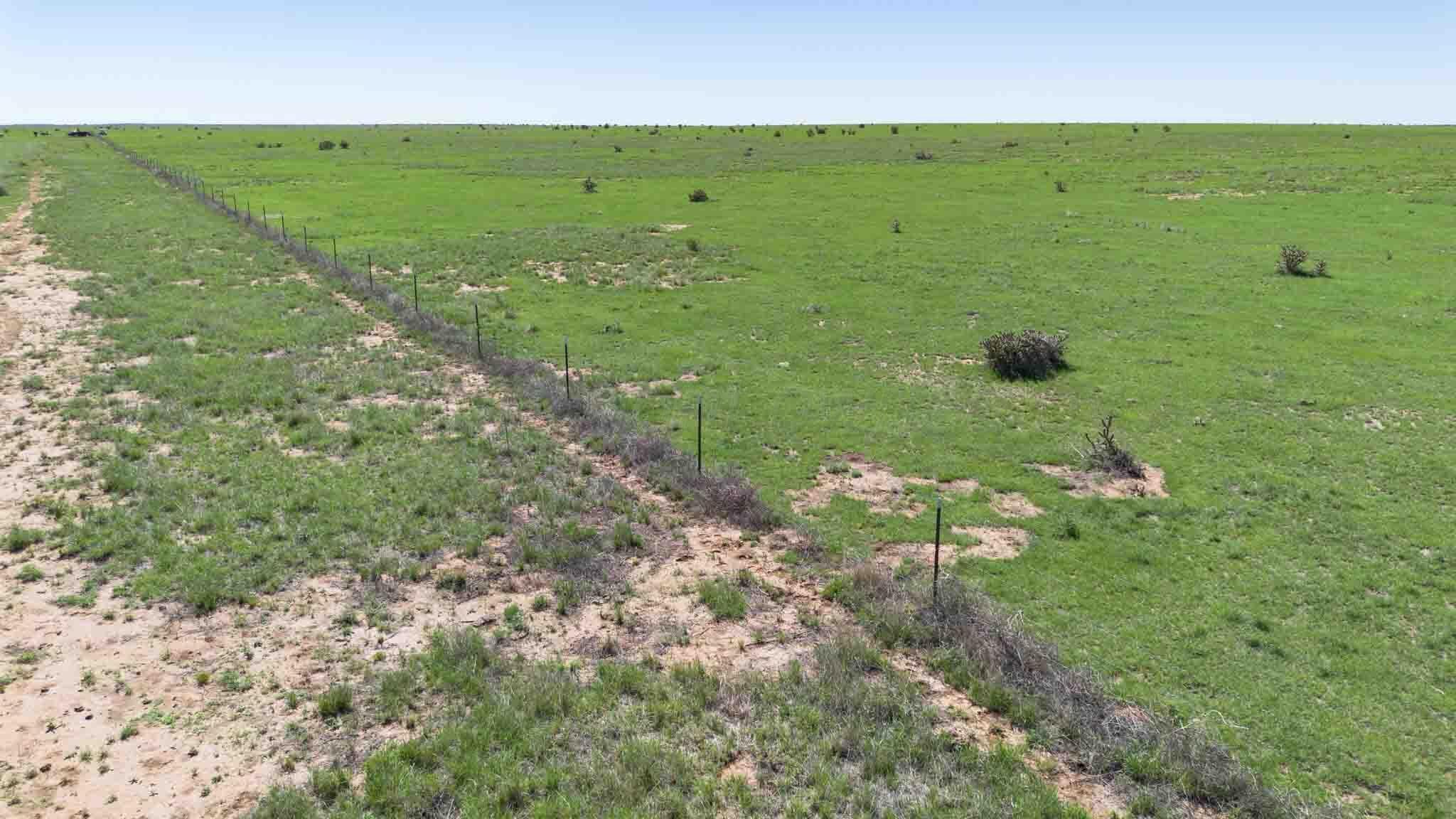 Wise Ranch 3,433.84 Acres, Other - Not in list, NM 88430, photo 47