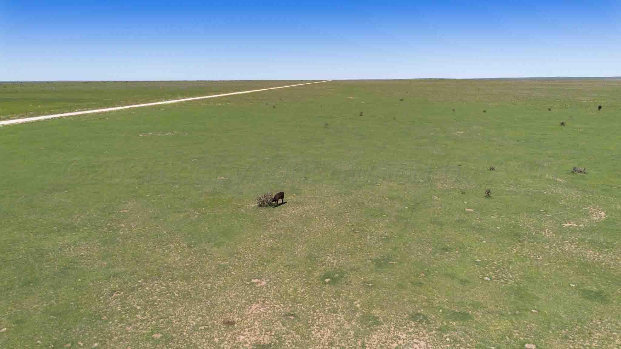 Wise Ranch 3,433.84 Acres, Other - Not in list, NM 88430, photo 48