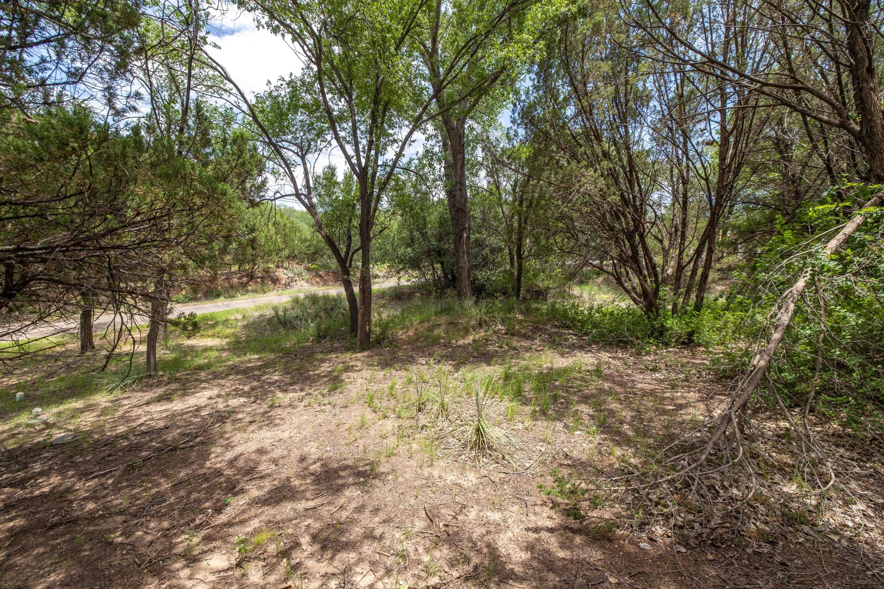 415 N SHORE Drive, Amarillo, TX 79118-9398, photo 31