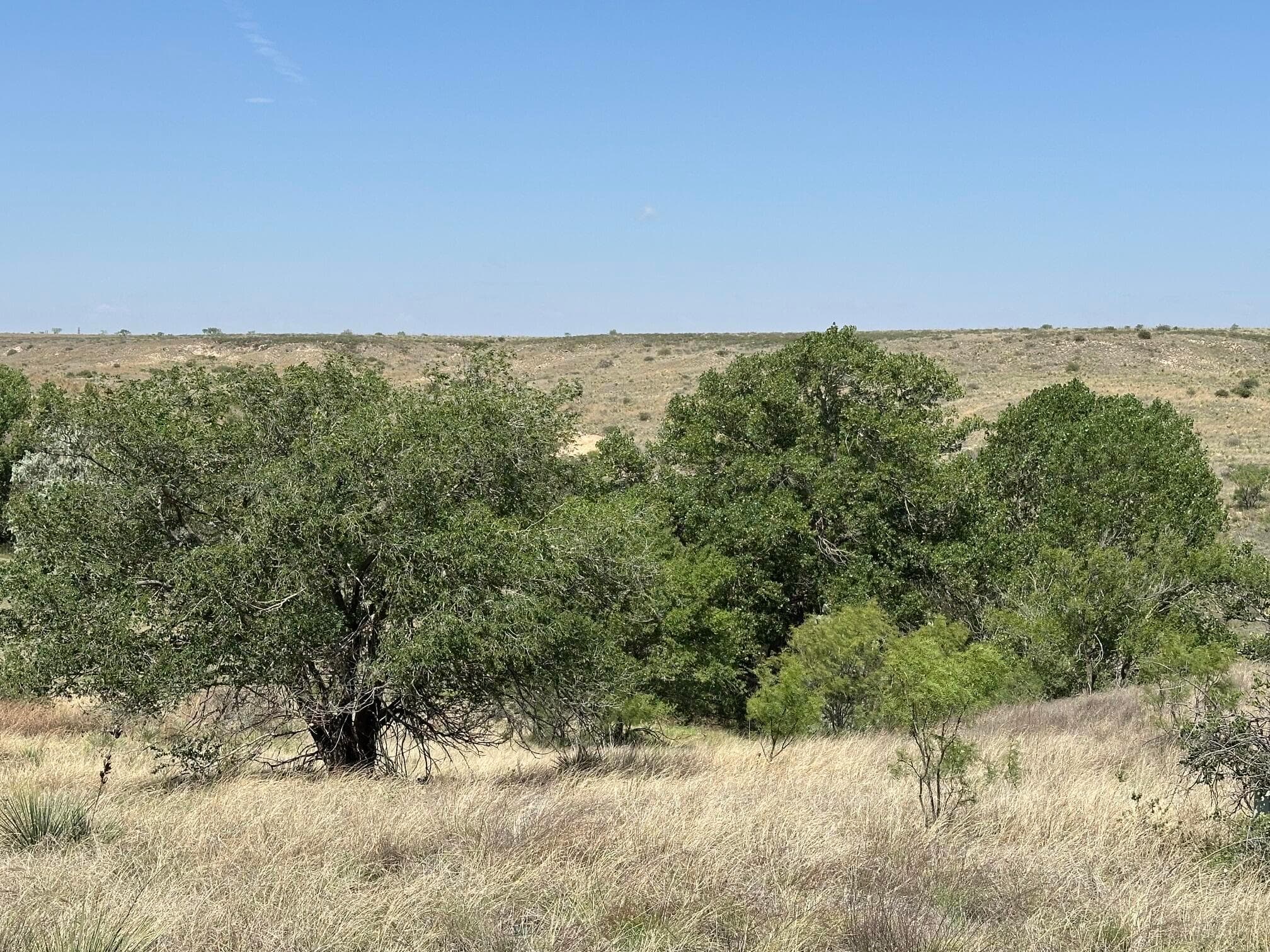 0 Lost Canyon Drive, Amarillo, TX 79124, photo 5