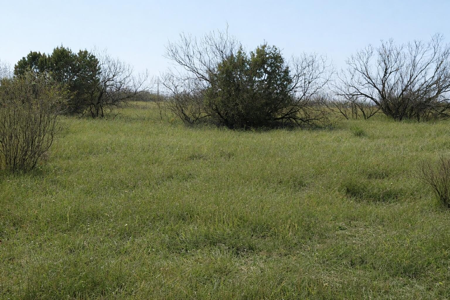 620 CANYON Parkway, Canyon, TX 79015, photo 2