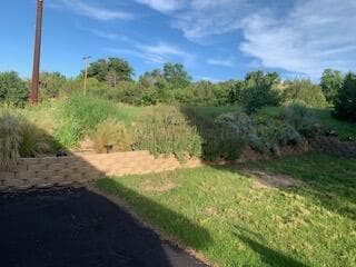 204 S TIMBERCREEK Drive, Amarillo, TX 79118-3702, photo 29