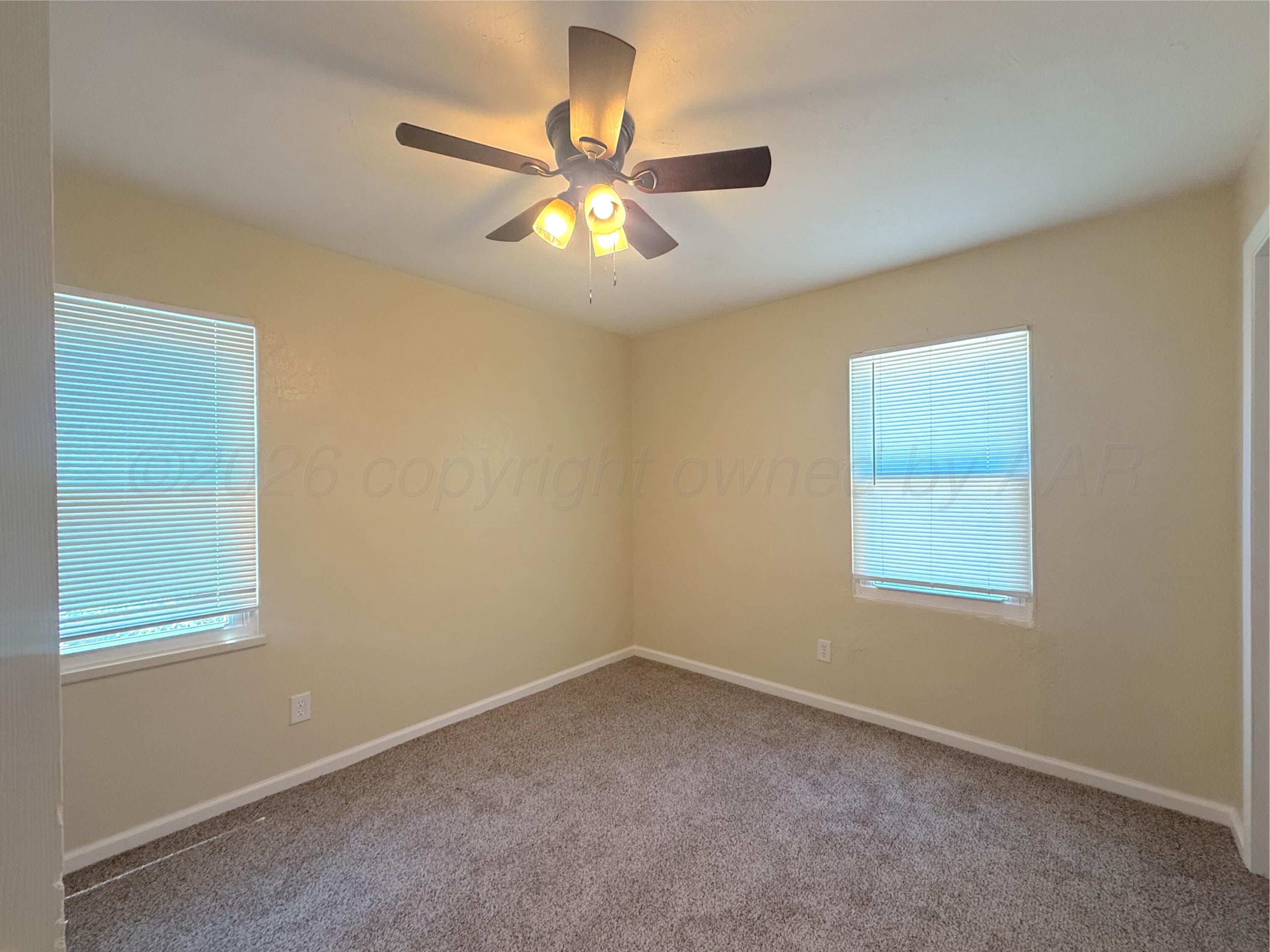 215 PEACH Avenue, Dumas, TX 79029-3431, photo 13