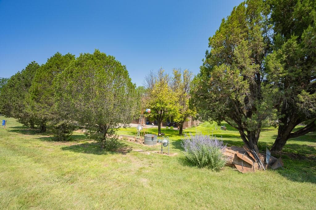 204 S TIMBERCREEK Drive, Amarillo, TX 79118-3702, photo 11