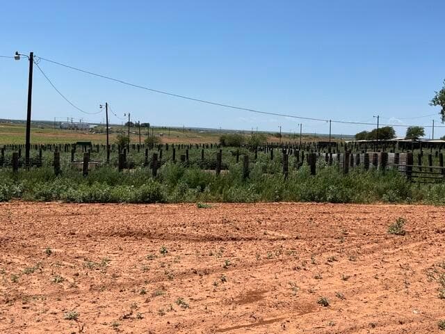 72.8 acres Hwy 256, Memphis, TX 79245, photo 3
