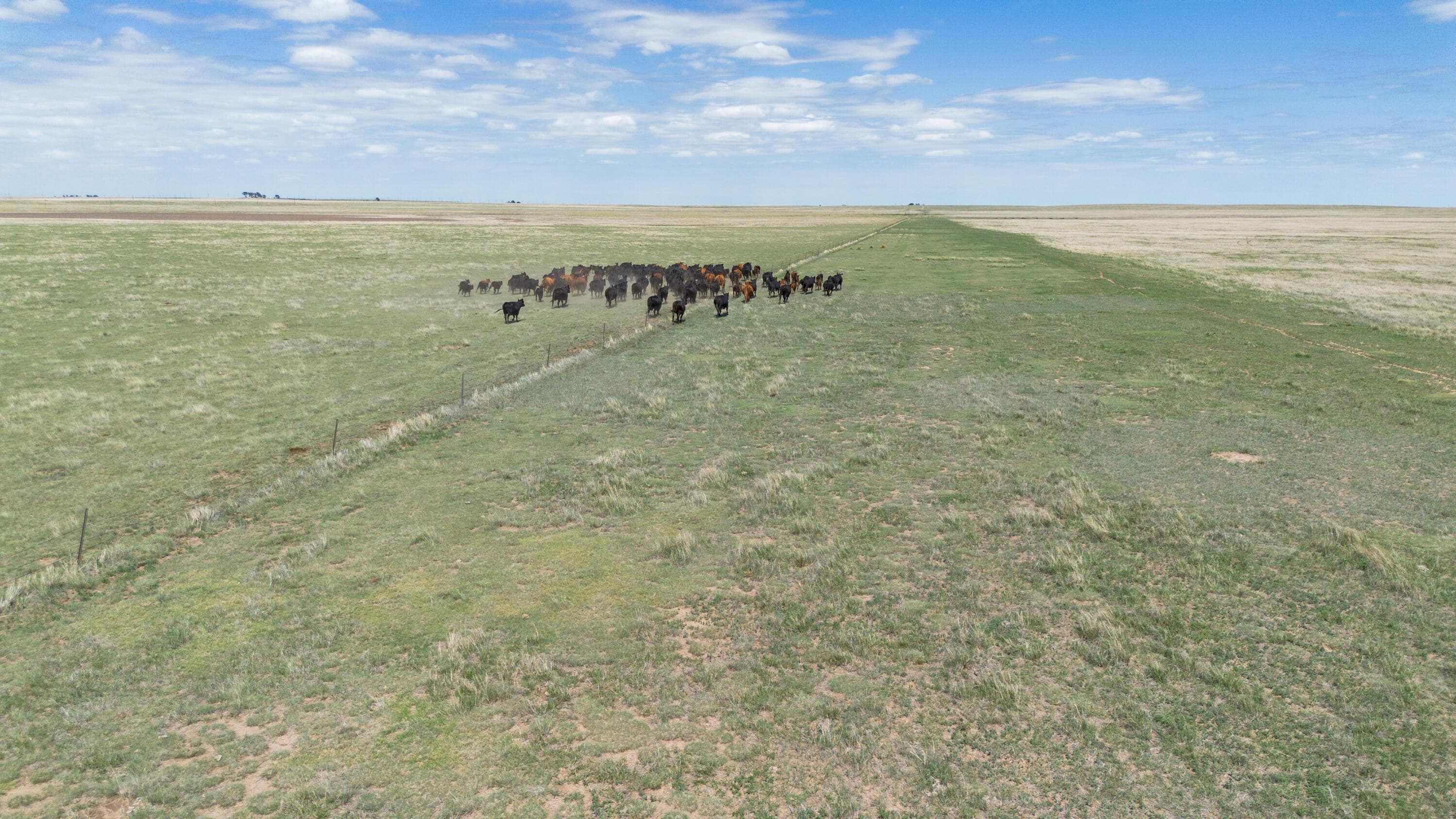 Baskin Ranch ±3,142.65ac, Stratford, TX 79084, photo 89