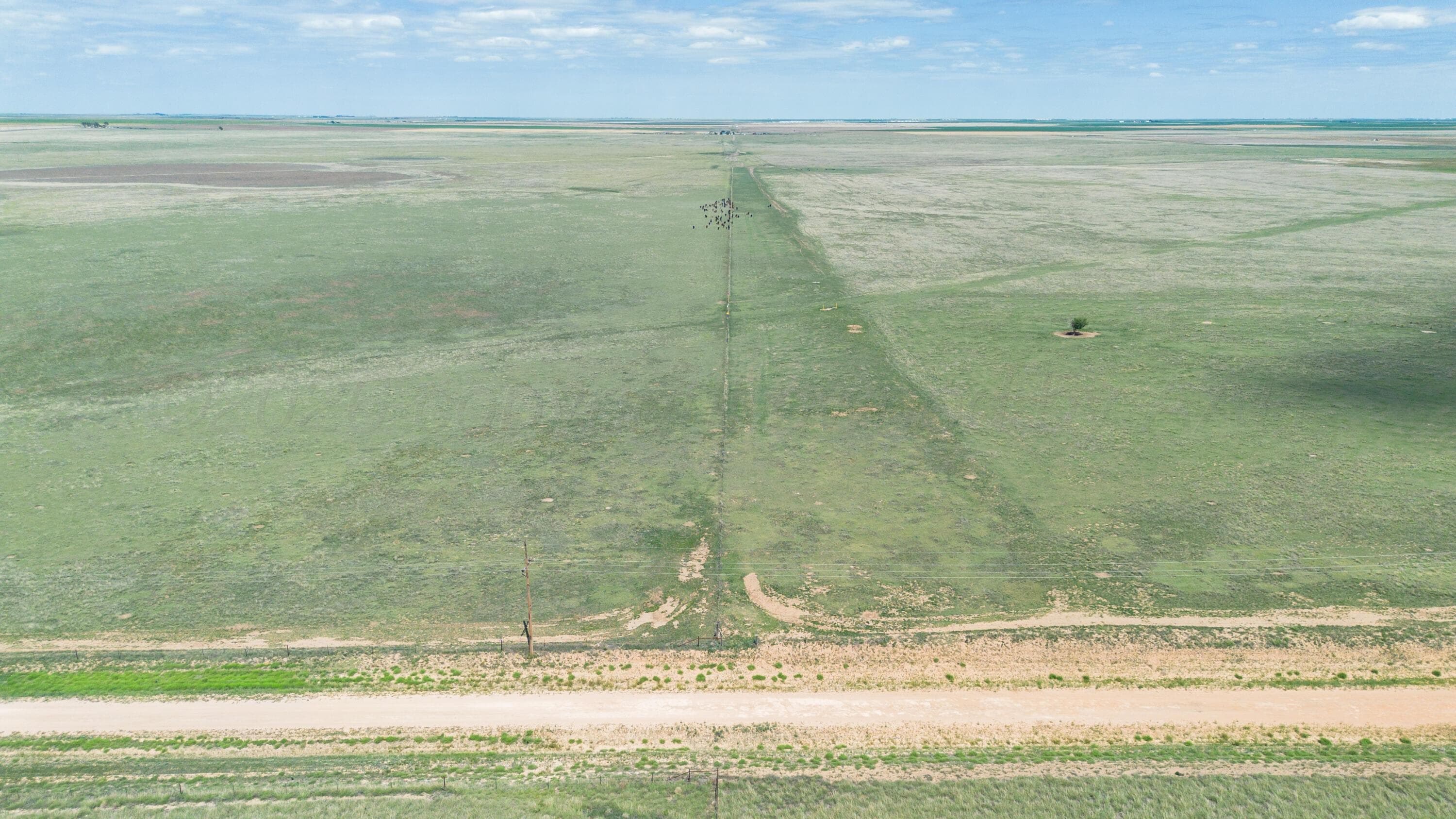 Baskin Ranch ±3,142.65ac, Stratford, TX 79084, photo 91