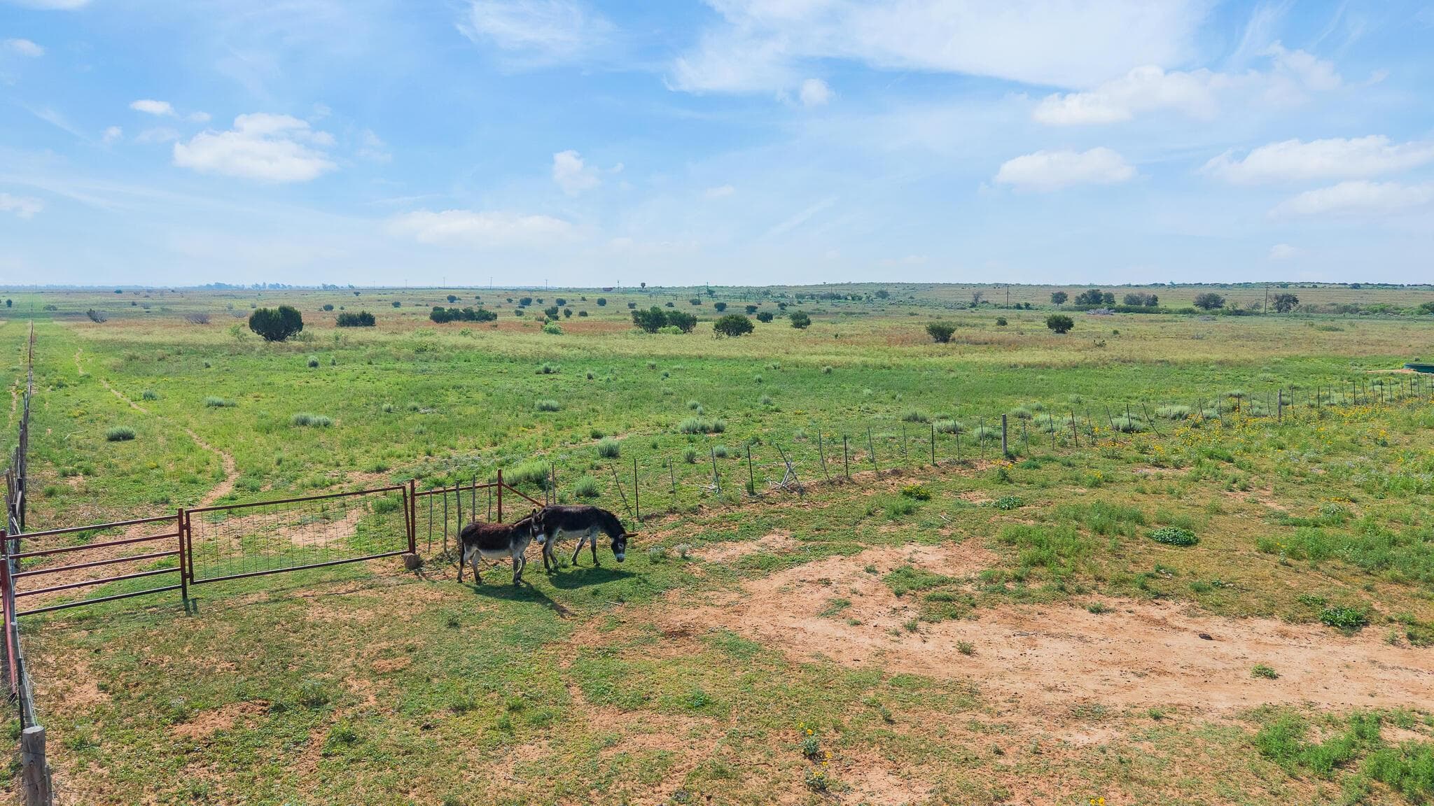 +/-20 Acres Camp Anderson, Clarendon, TX 79226, photo 5
