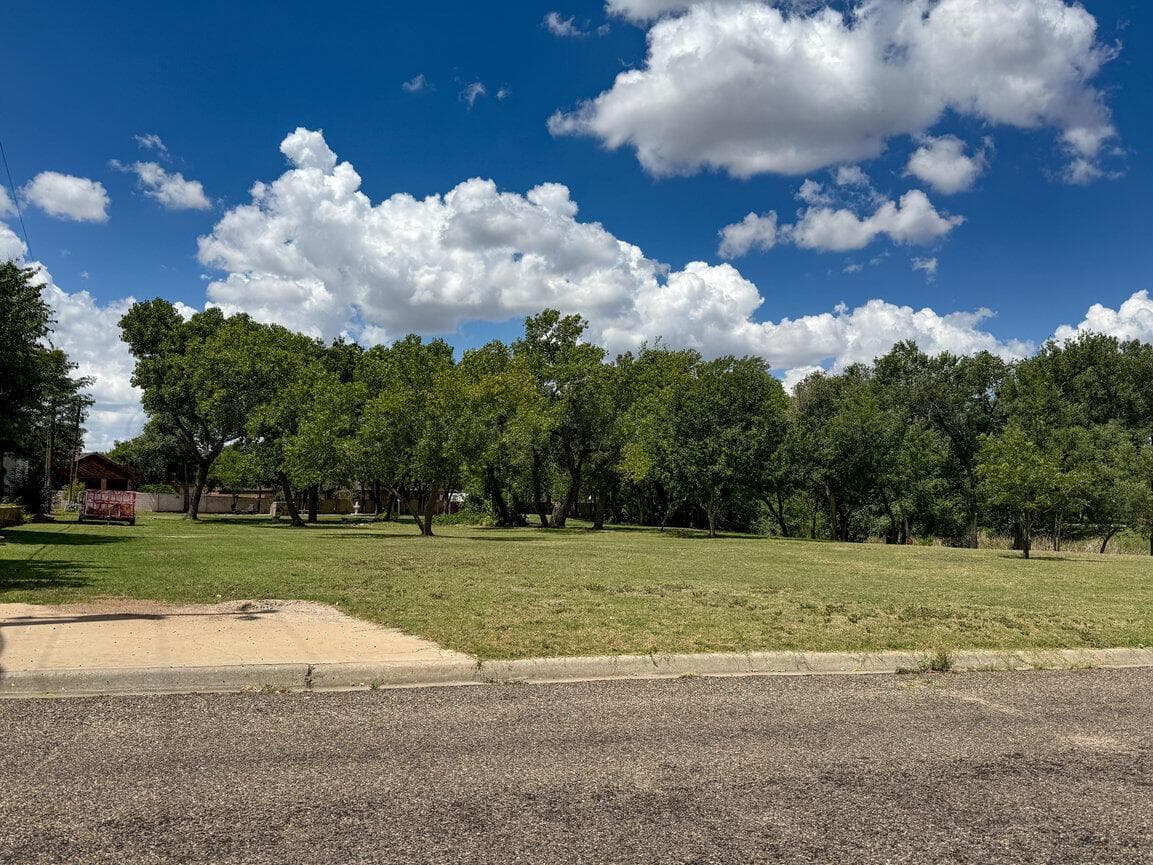 402 Linden Street, Borger, TX 79007, photo 88