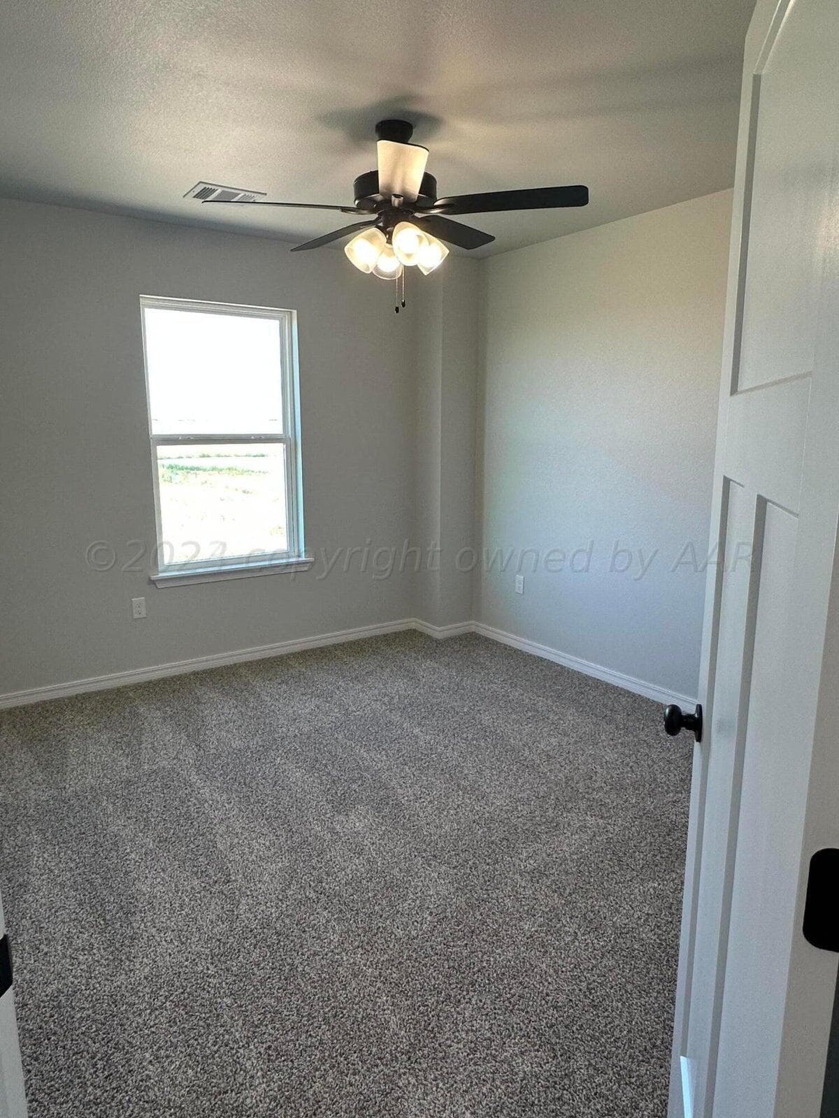 14100 Daisy Drive, Amarillo, TX 79119, photo 9