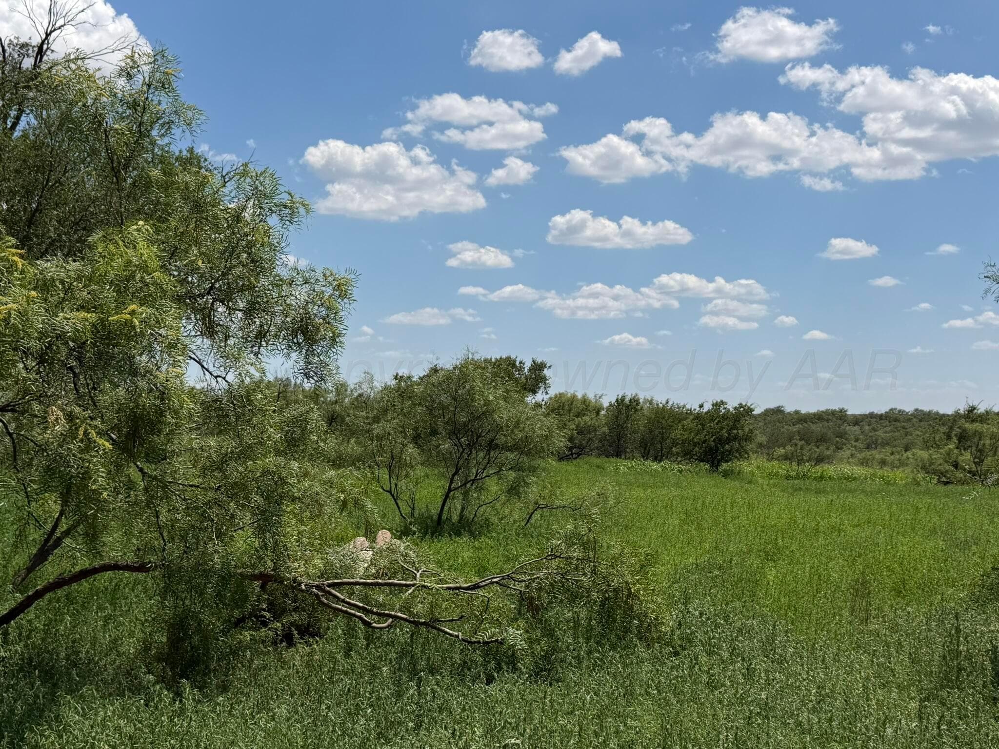 15400 County Road I, Shamrock, TX 79079, photo 9