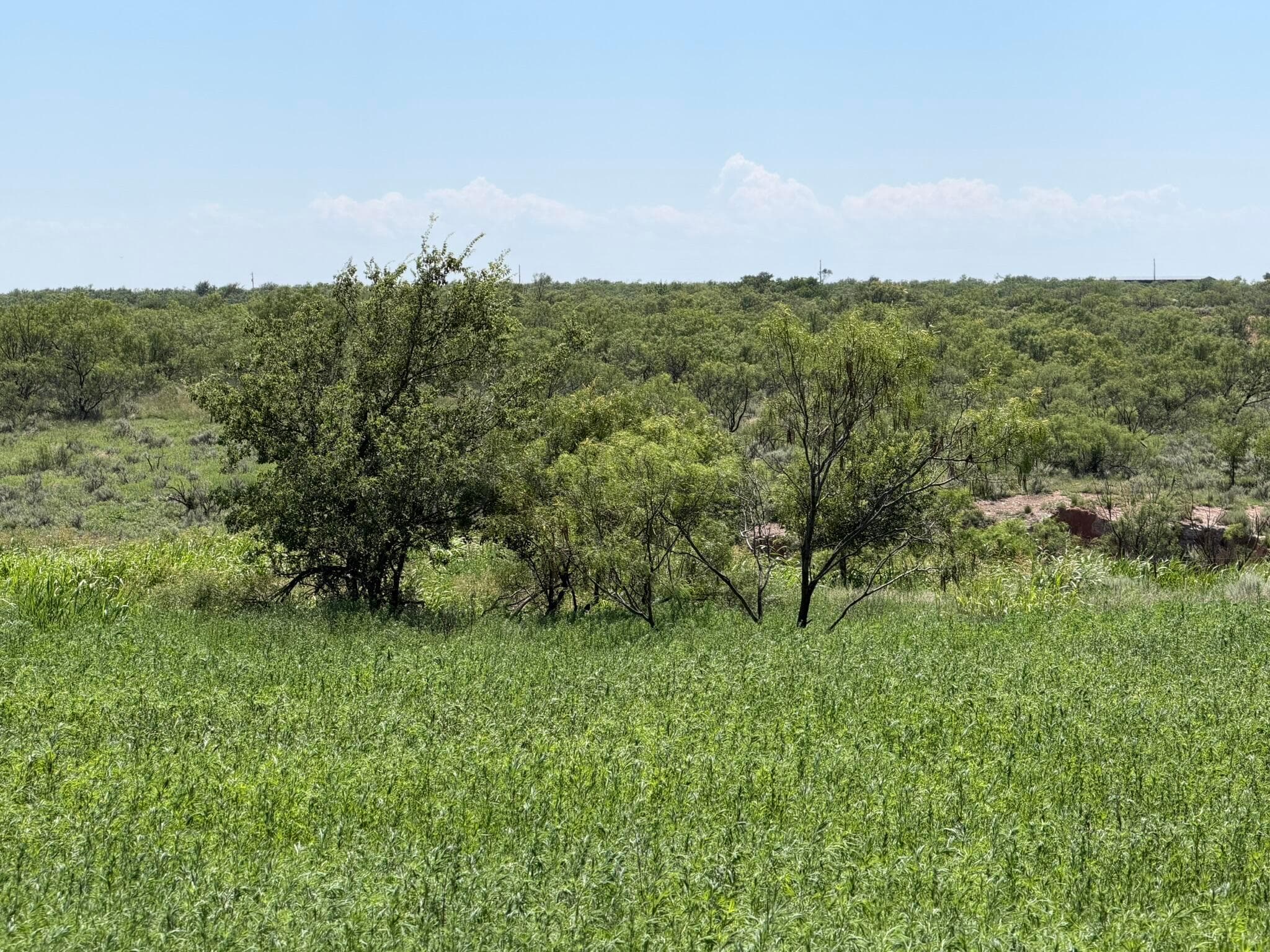 15400 County Road I, Shamrock, TX 79079, photo 10