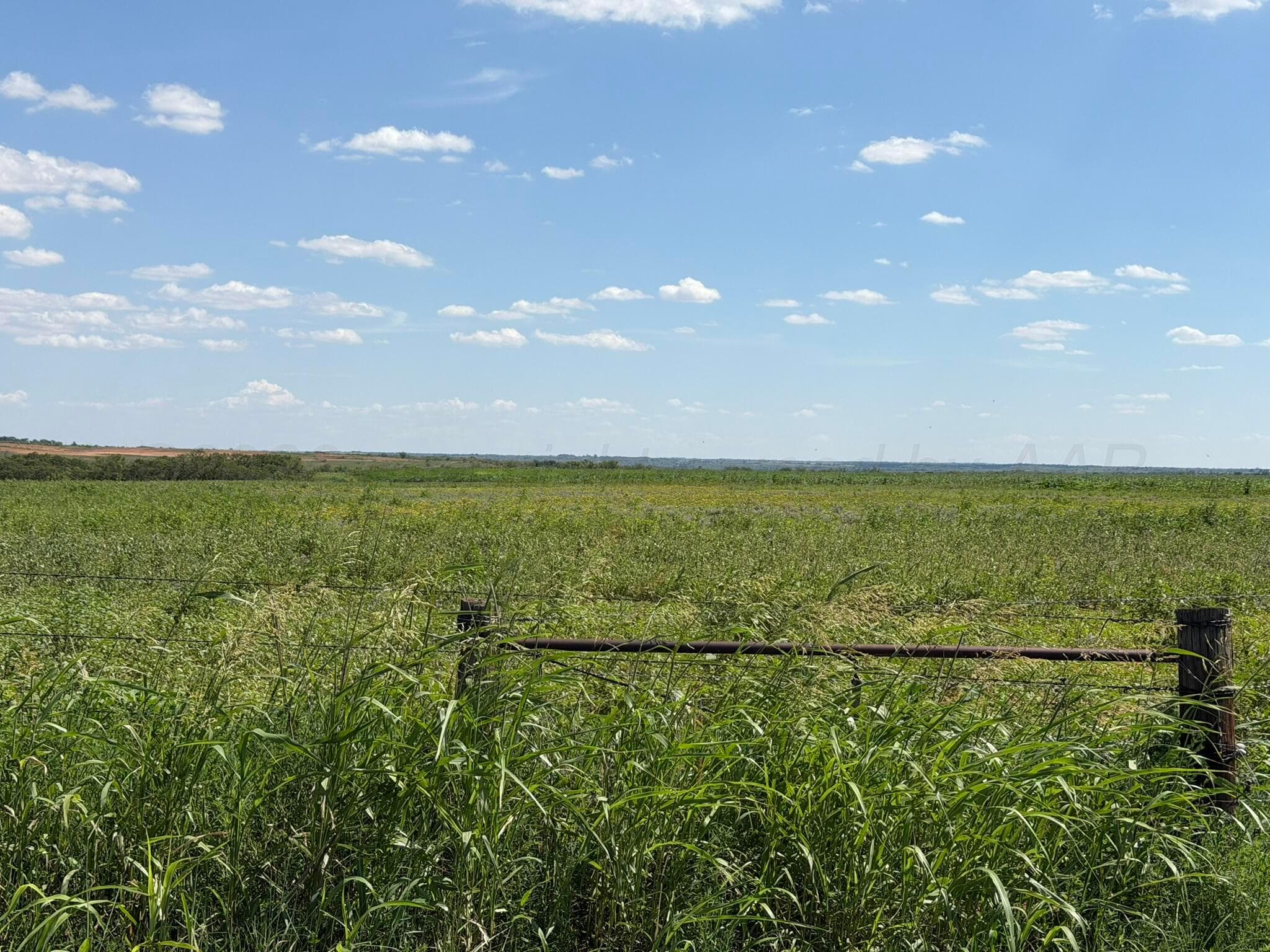 15400 County Road I, Shamrock, TX 79079, photo 12