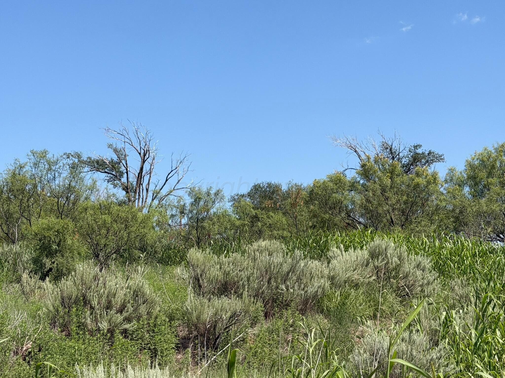 15400 County Road I, Shamrock, TX 79079, photo 13