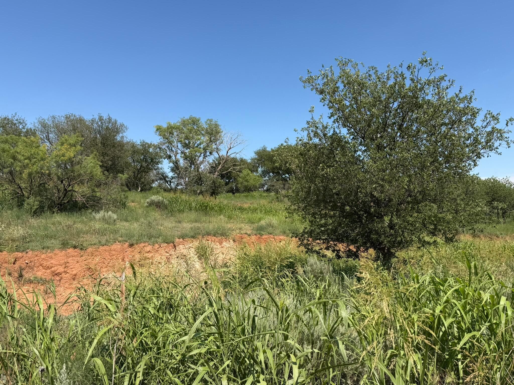 15400 County Road I, Shamrock, TX 79079, photo 14