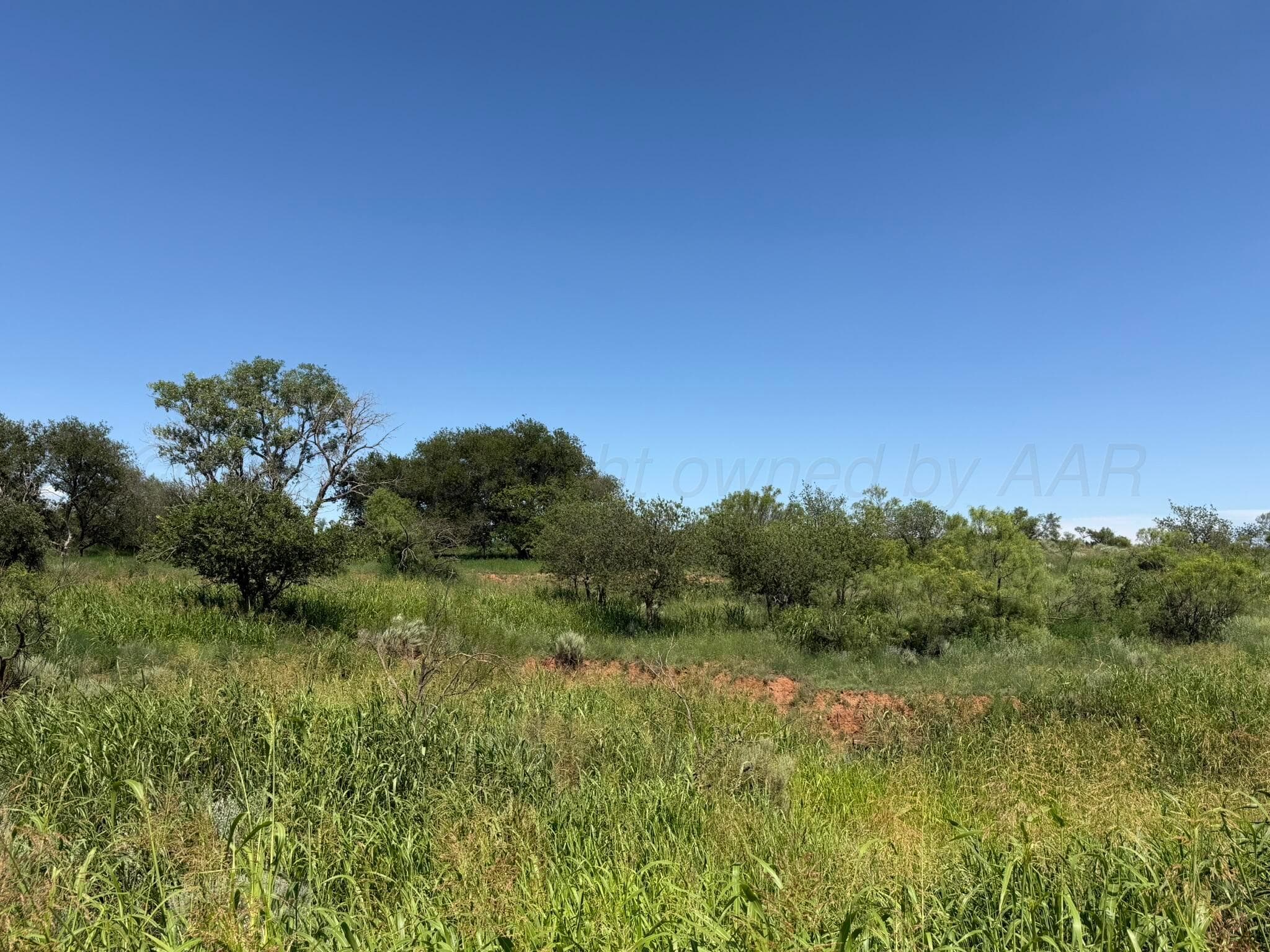 15400 County Road I, Shamrock, TX 79079, photo 15
