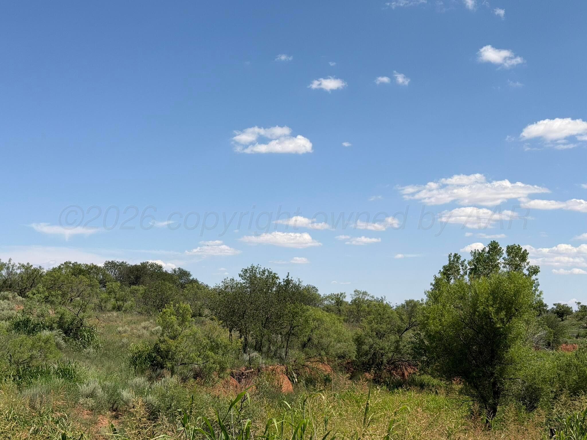 15400 County Road I, Shamrock, TX 79079, photo 16