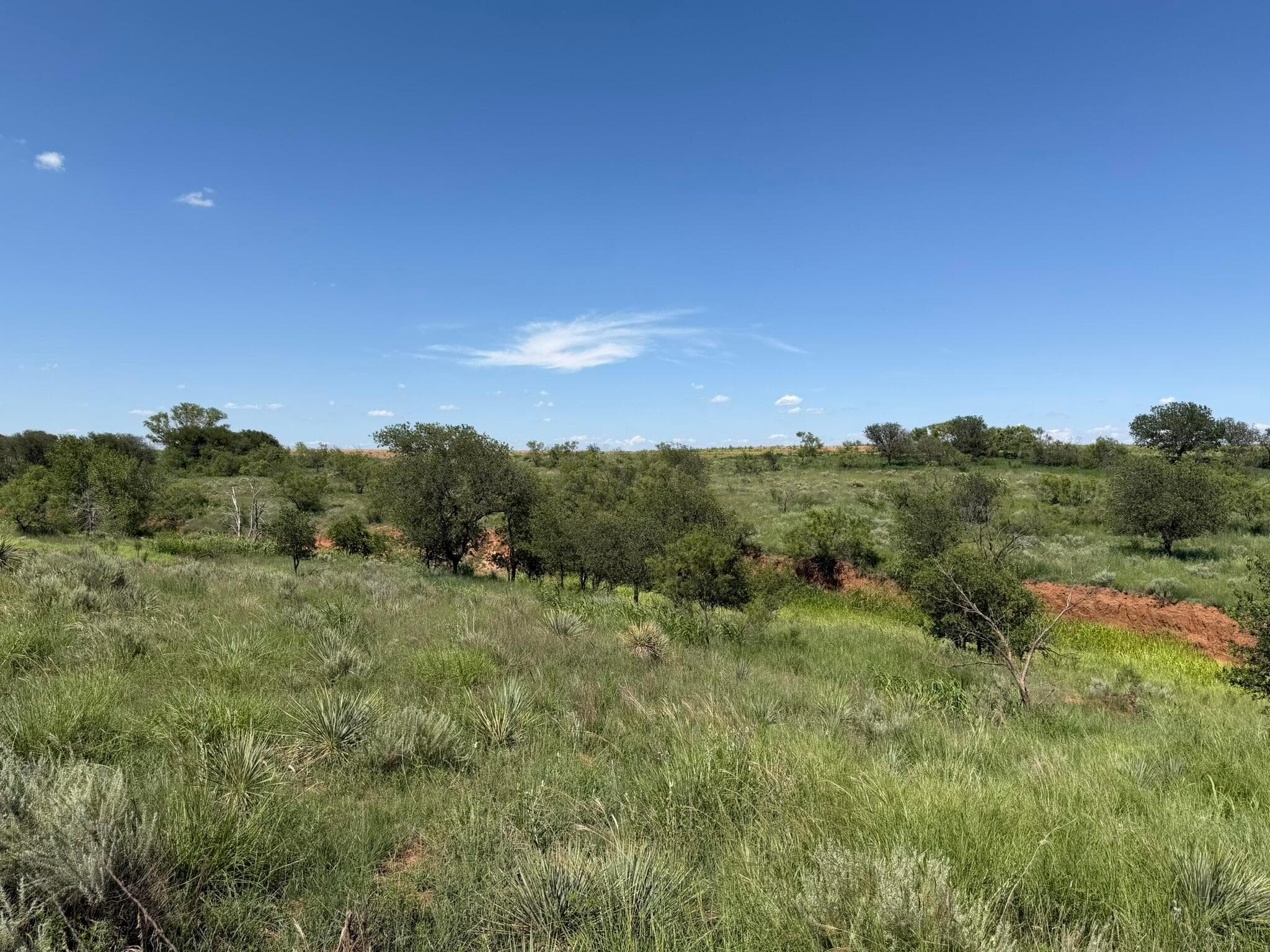 15400 County Road I, Shamrock, TX 79079, photo 18