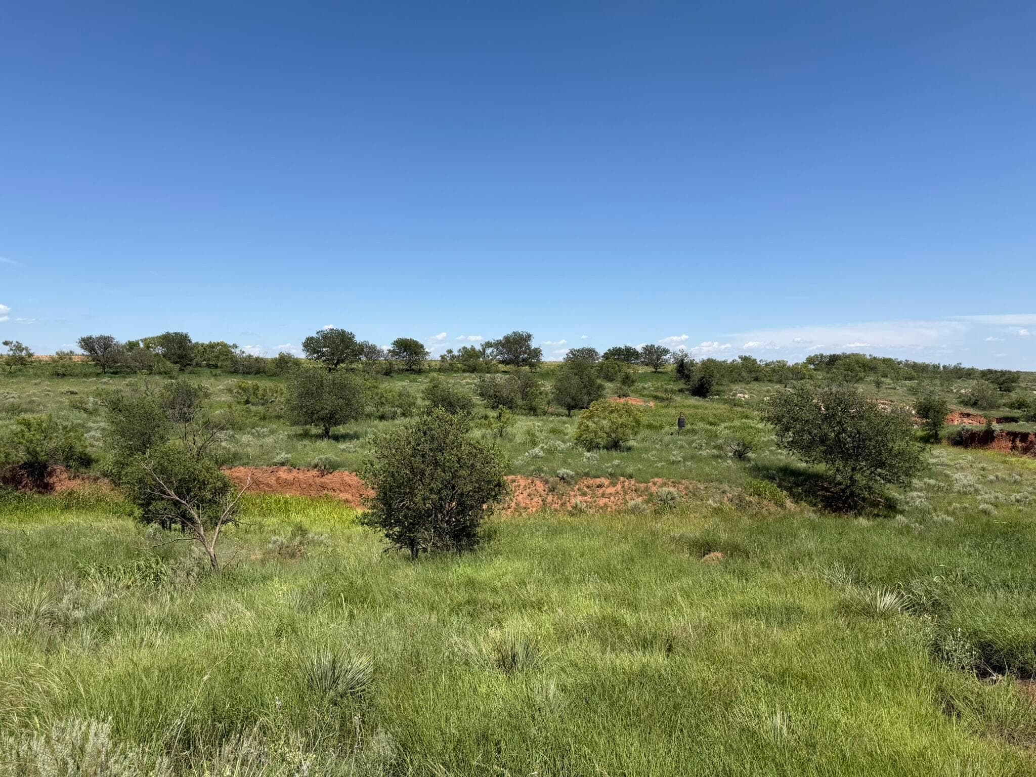15400 County Road I, Shamrock, TX 79079, photo 19