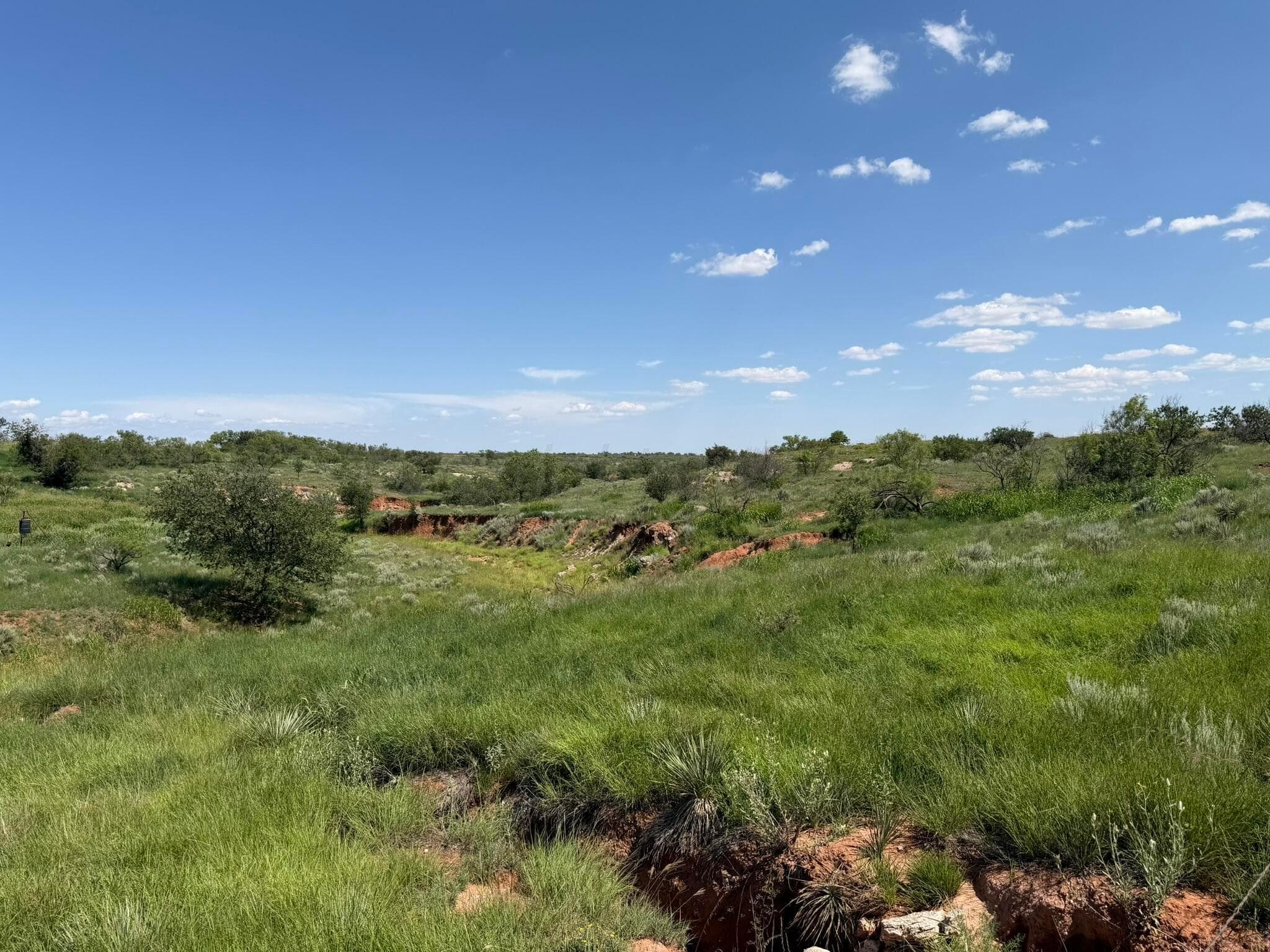 15400 County Road I, Shamrock, TX 79079, photo 20