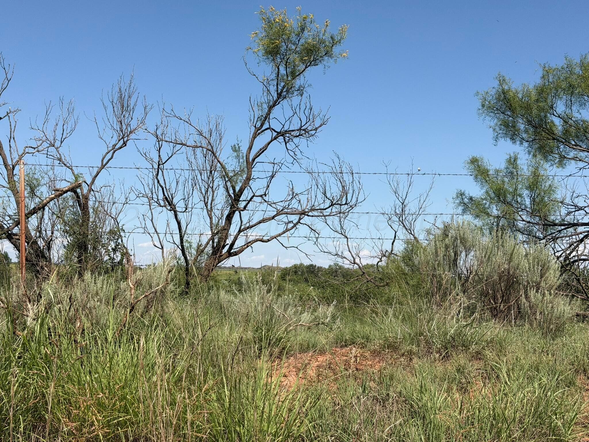 15400 County Road I, Shamrock, TX 79079, photo 21