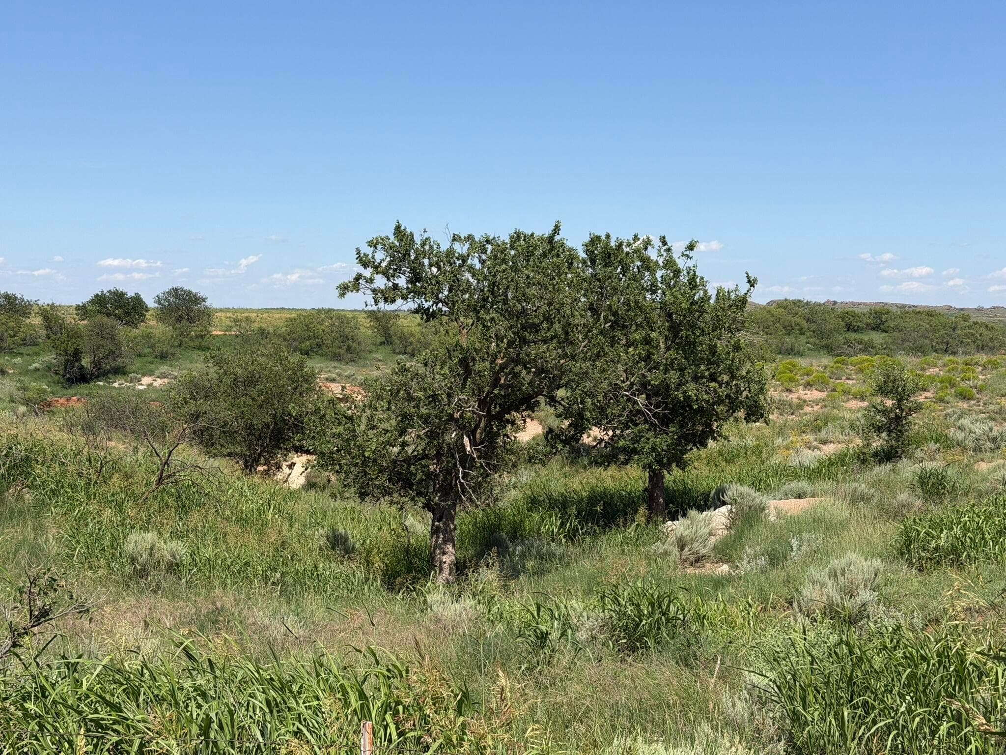 15400 County Road I, Shamrock, TX 79079, photo 22