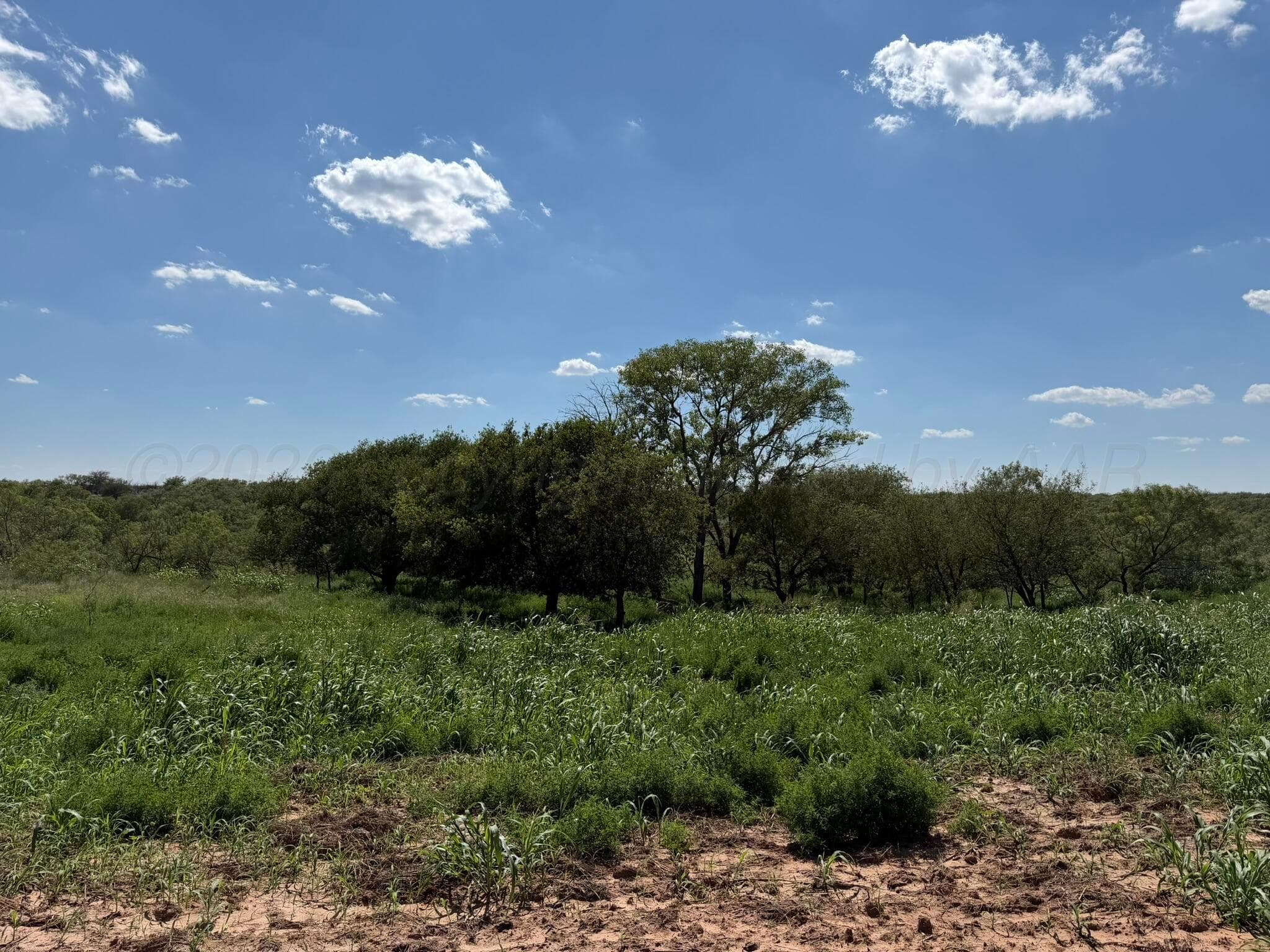 15400 County Road I, Shamrock, TX 79079, photo 23