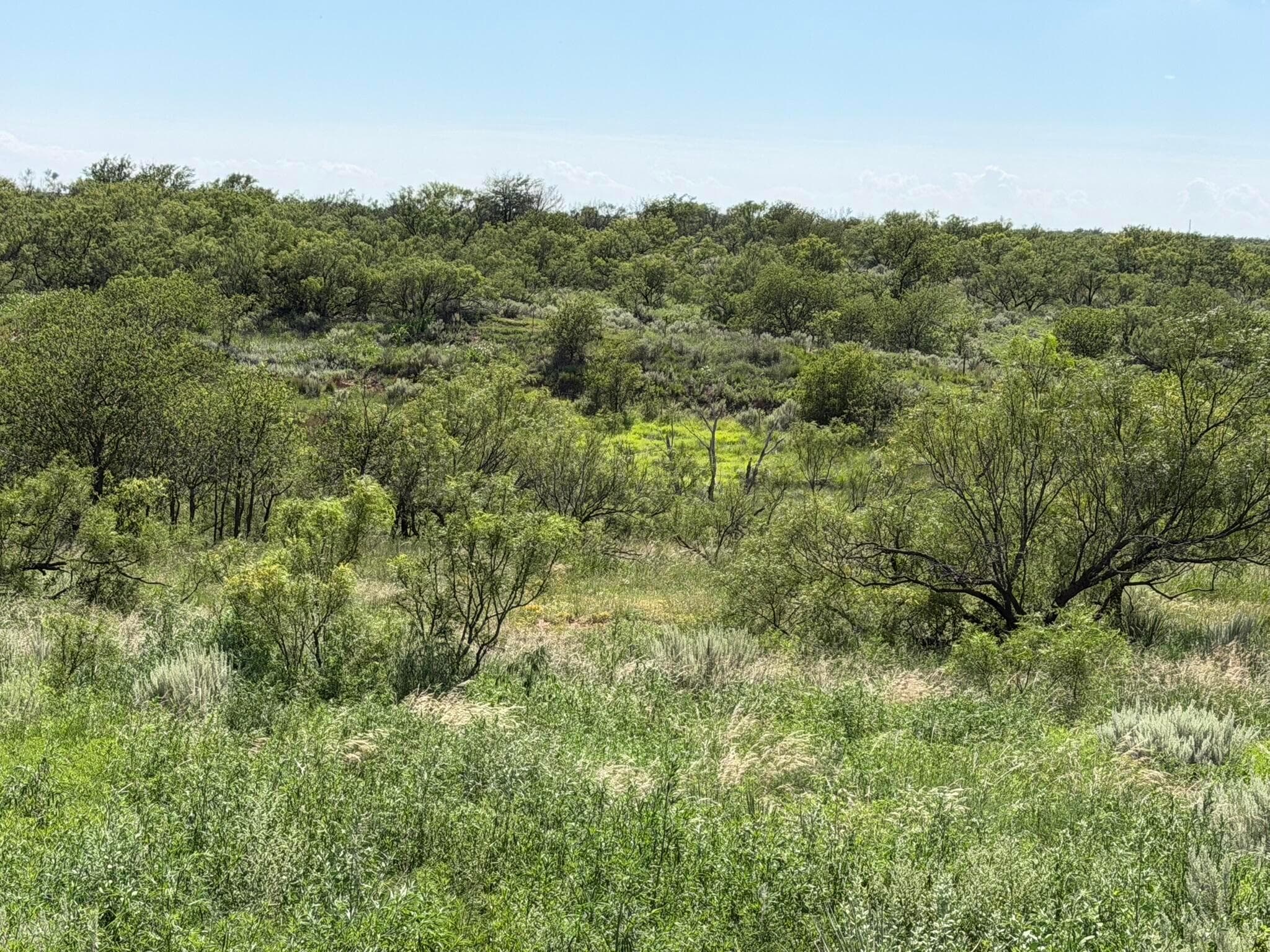 15400 County Road I, Shamrock, TX 79079, photo 24
