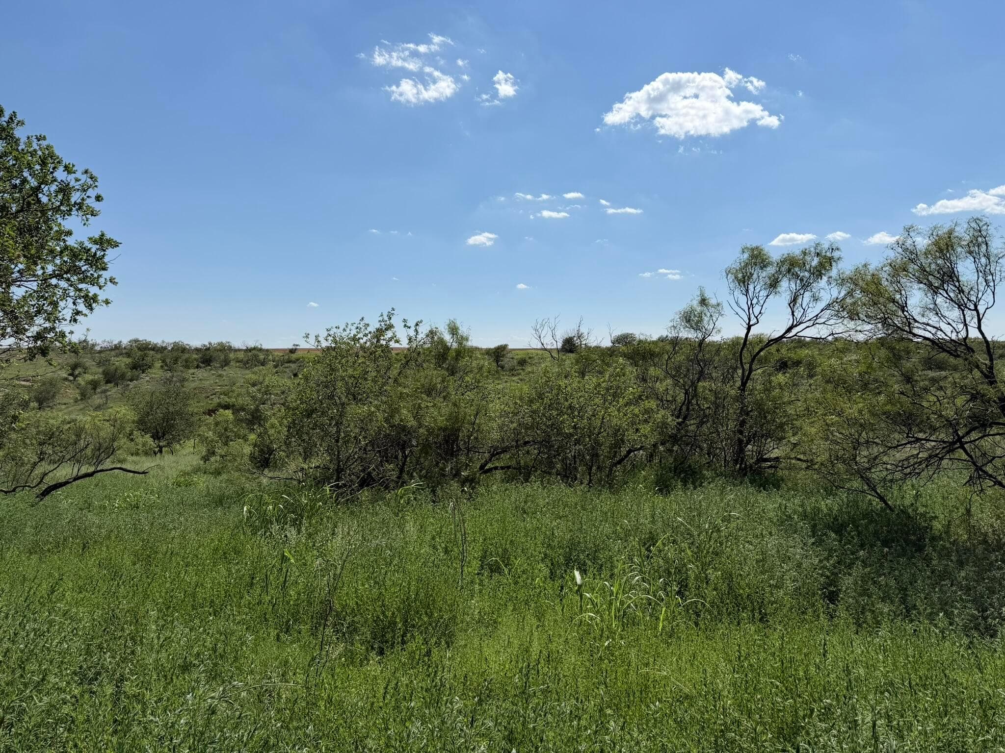 15400 County Road I, Shamrock, TX 79079, photo 26