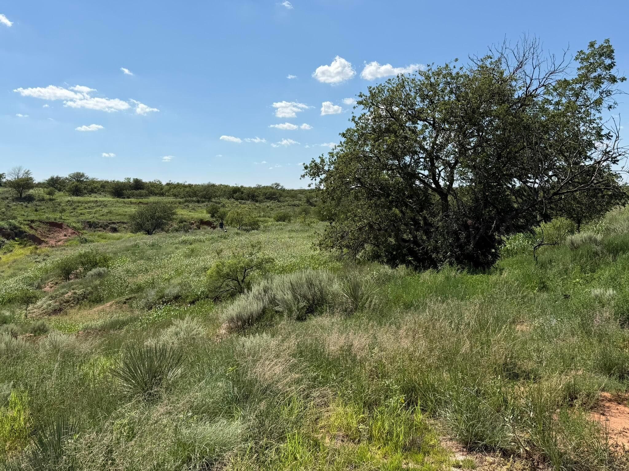 15400 County Road I, Shamrock, TX 79079, photo 27