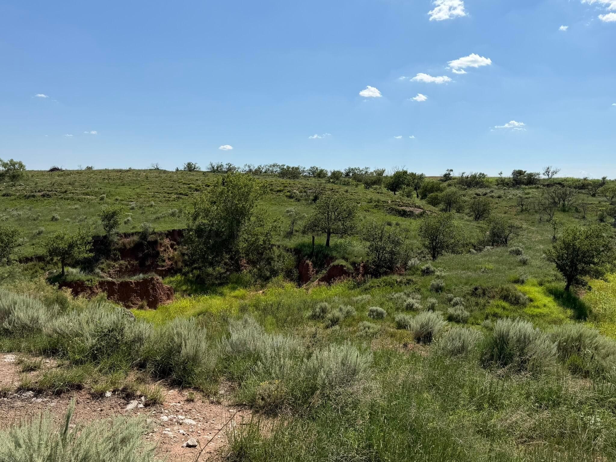 15400 County Road I, Shamrock, TX 79079, photo 28