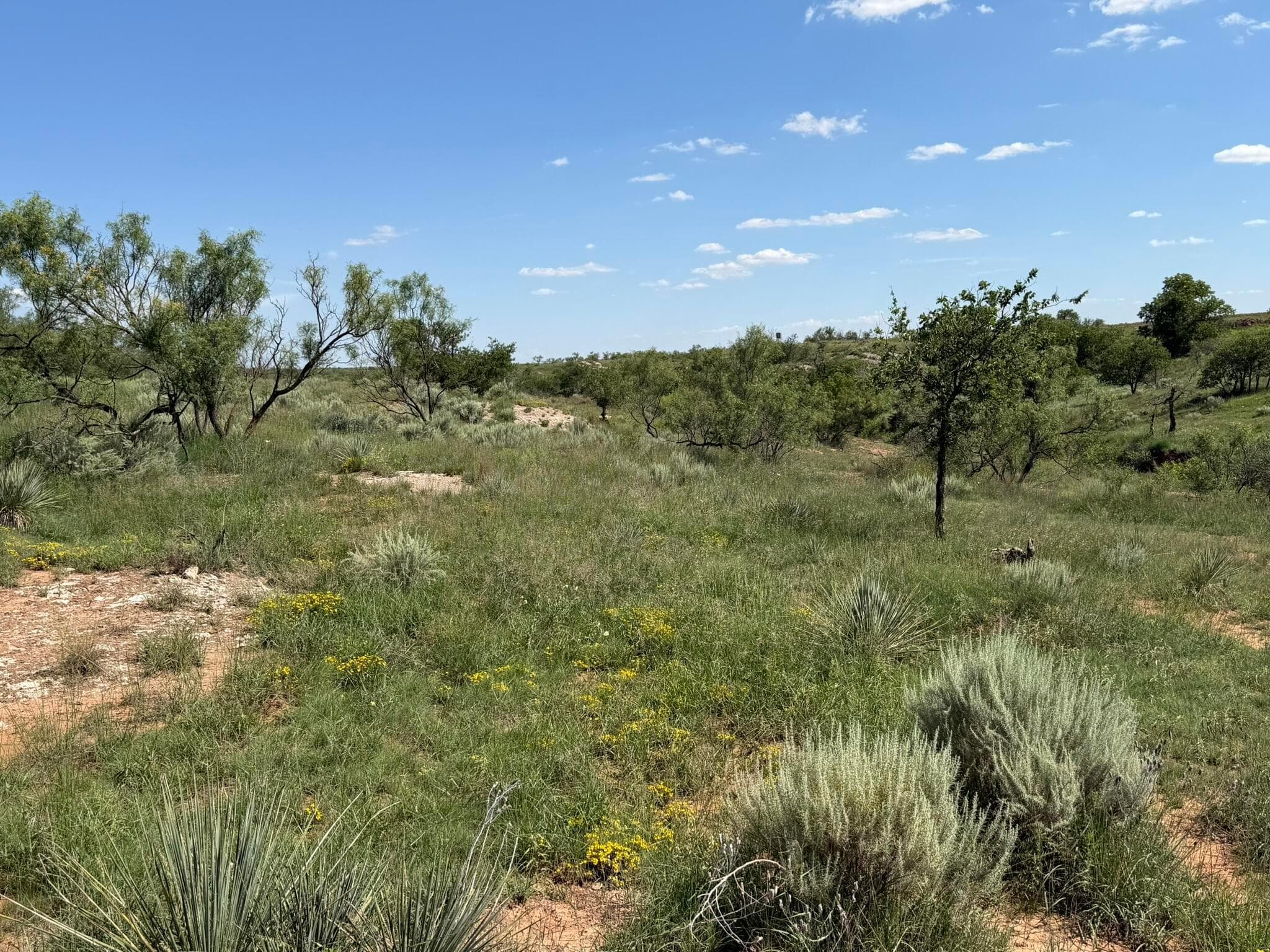15400 County Road I, Shamrock, TX 79079, photo 29